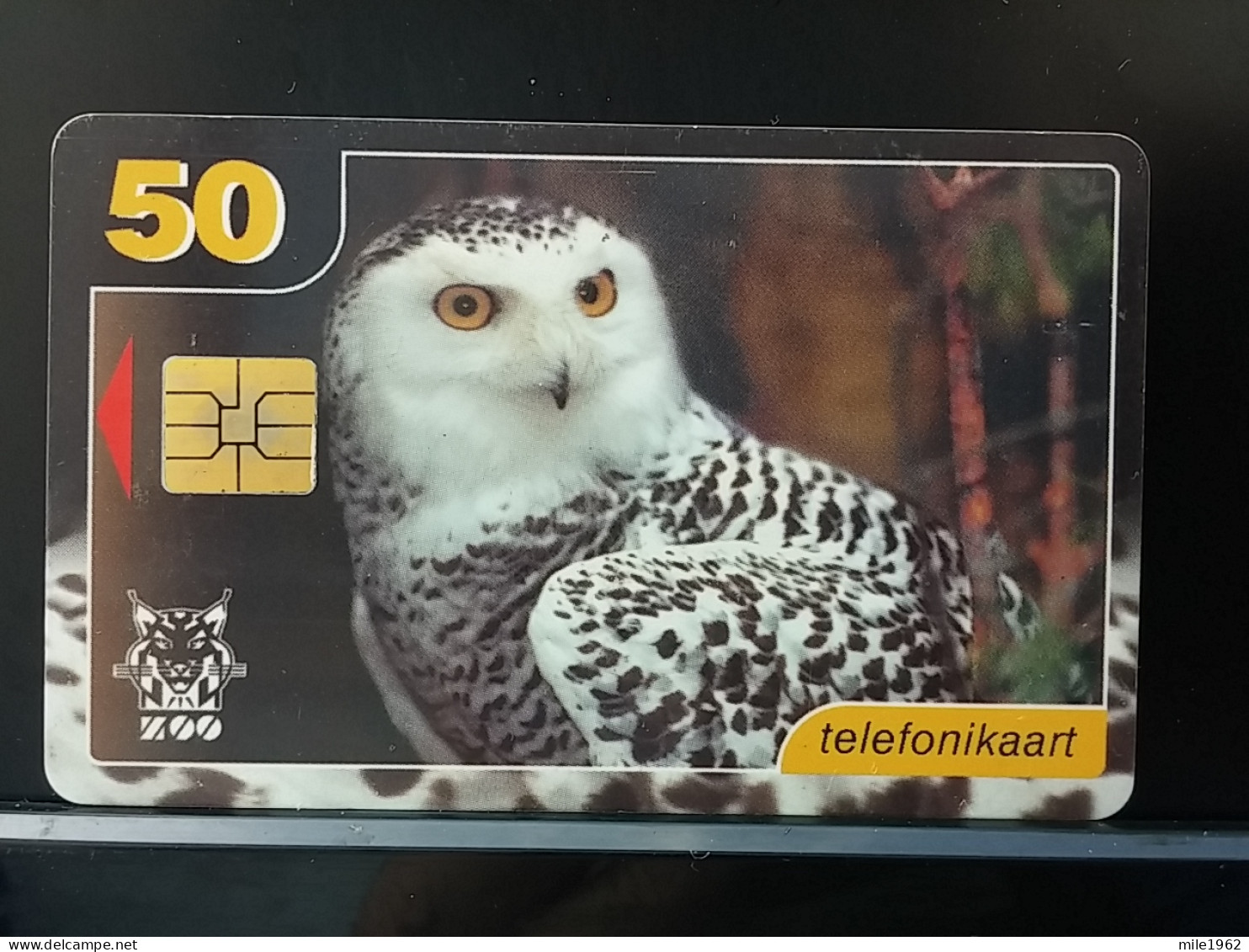 T-312 - ESTONIA TELECARD, PHONECARD, ANIMAL, OWL, HIBOU, BIRD, OISEAU - Estonia