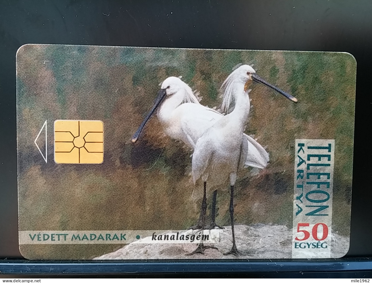 T-312 - HUNGARY TELECARD, PHONECARD, ANIMAL, BIRD, OISEAU - Ungarn