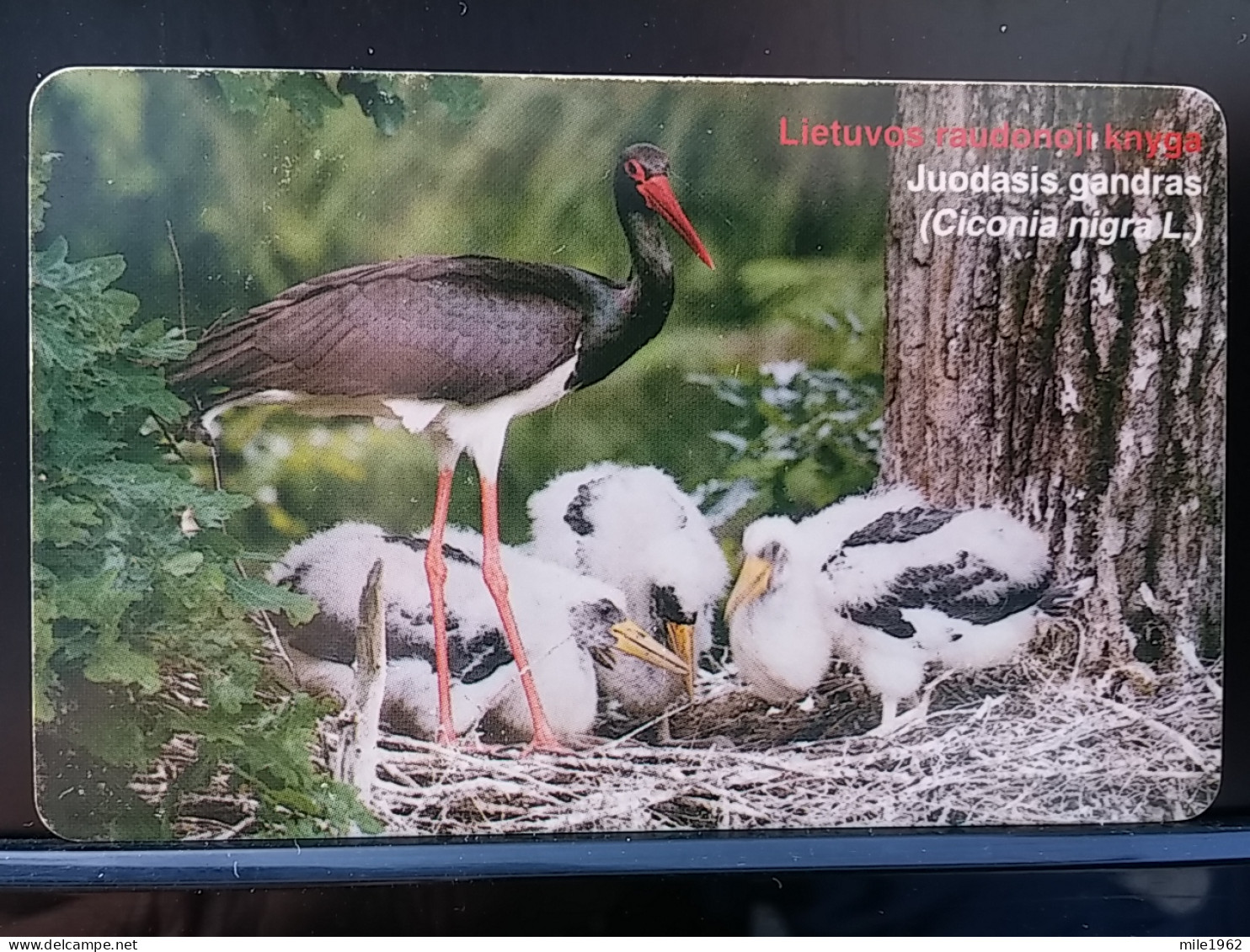 T-312 - LATVIA TELECARD, PHONECARD, ANIMAL, BIRD, OISEAU - Lettonie