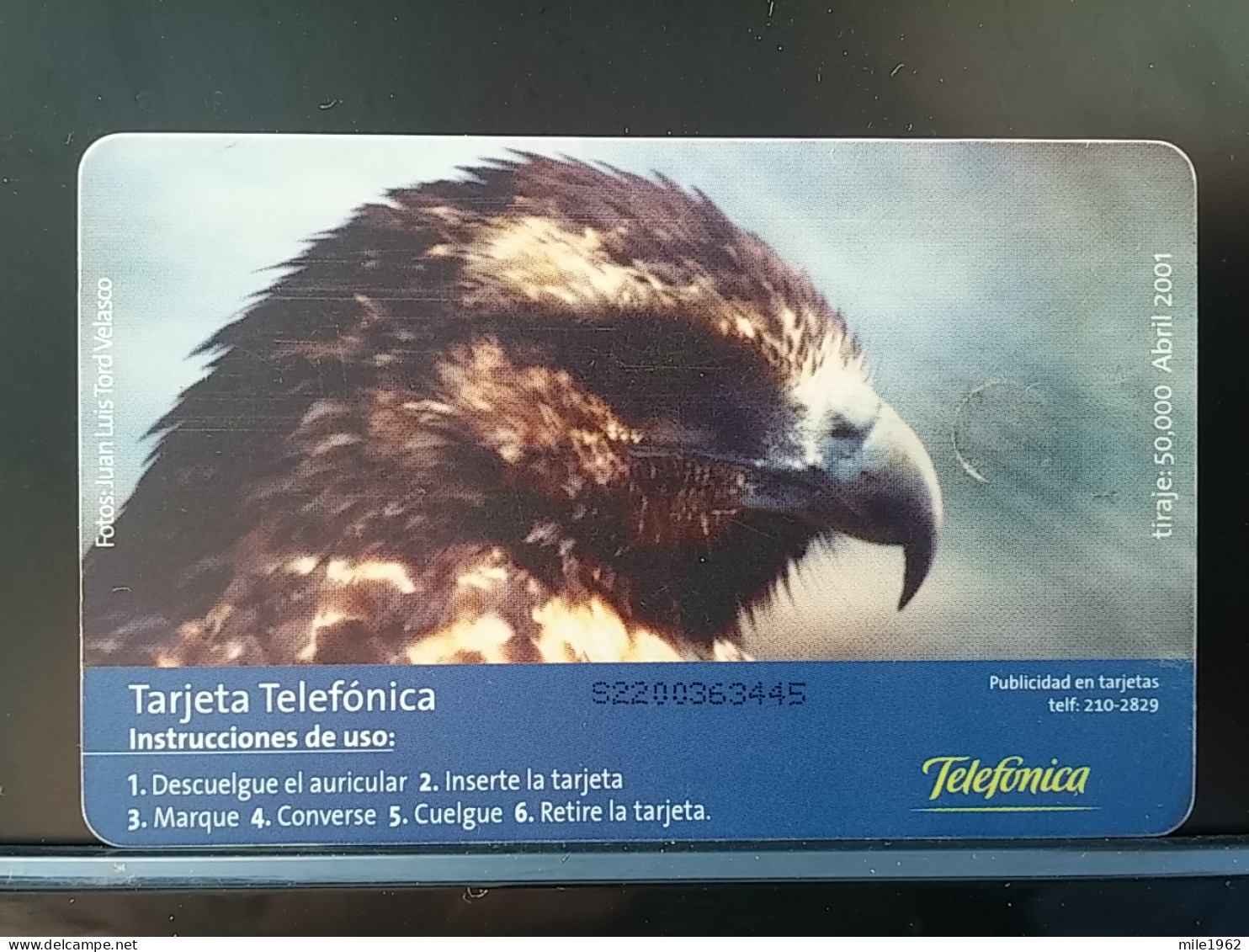 T-312 - PERU TELECARD, PHONECARD, ANIMAL, BIRD, OISEAU, Apurimac - Adler - Eagle - Peru