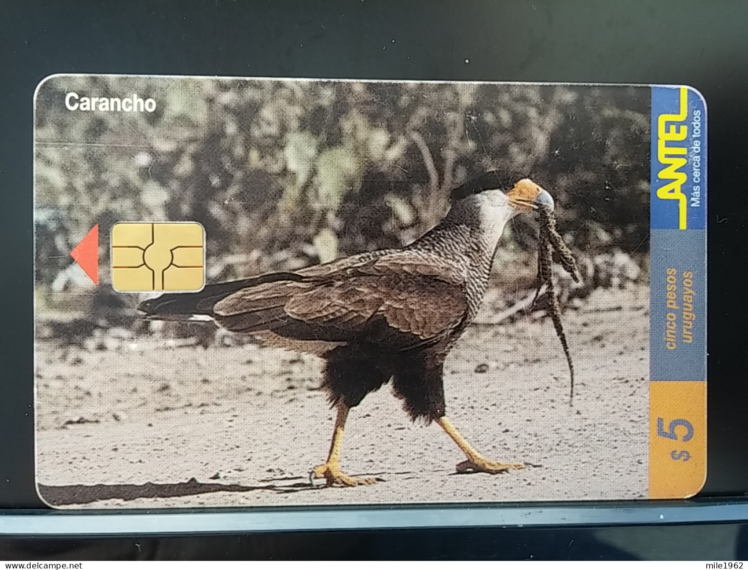 T-314 - URUGUAY TELECARD, PHONECARD, BIRD, OISEAU,  - Uruguay