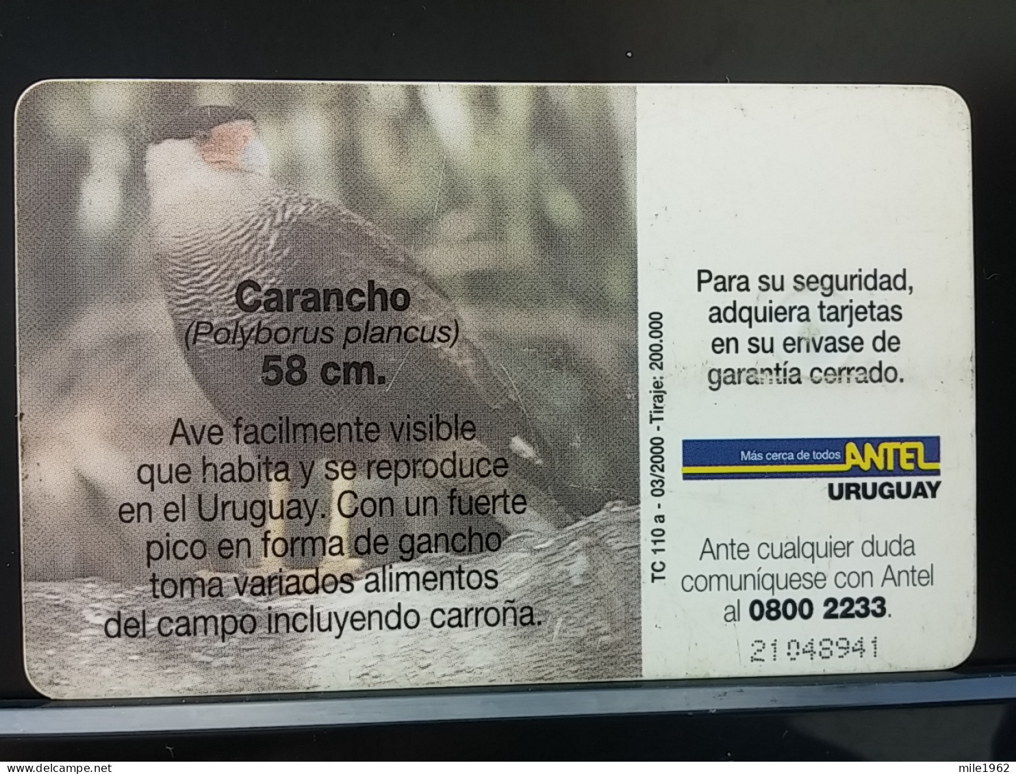 T-314 - URUGUAY TELECARD, PHONECARD, BIRD, OISEAU,  - Uruguay