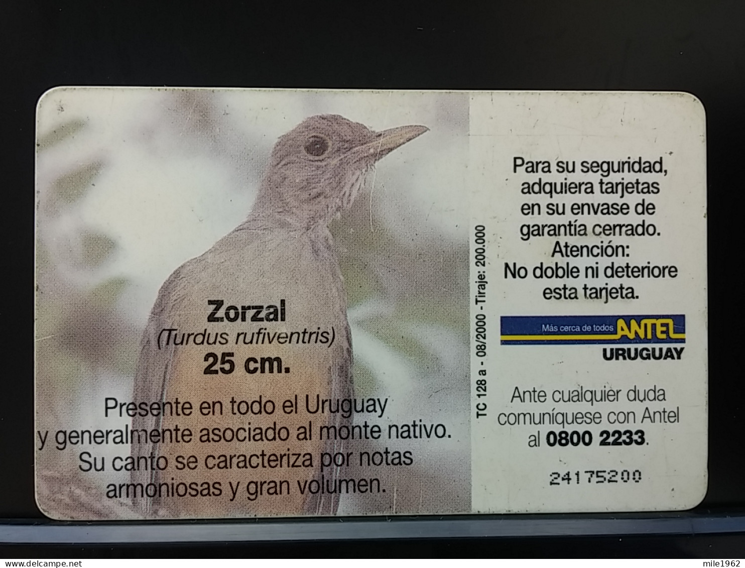 T-314 - URUGUAY TELECARD, PHONECARD, BIRD, OISEAU,  - Uruguay