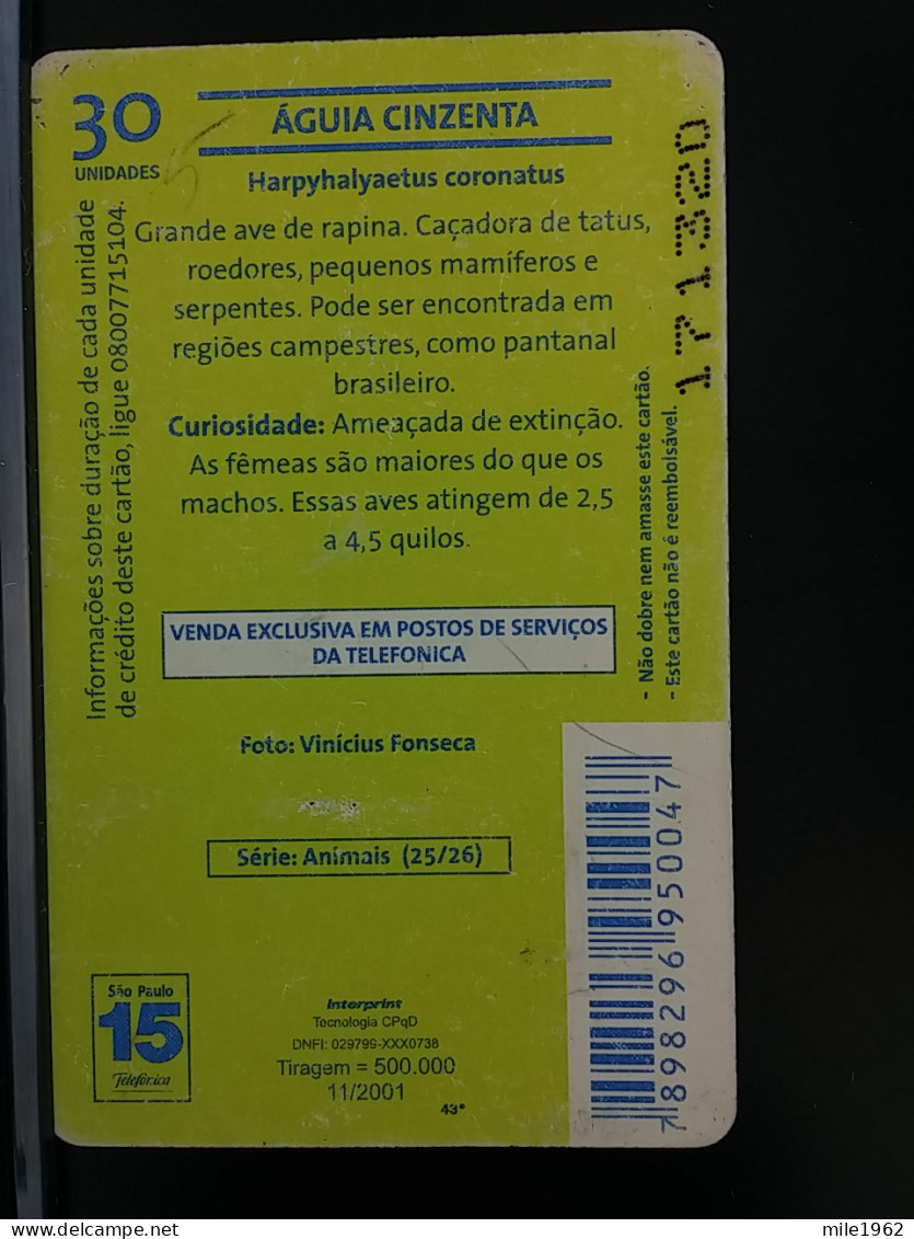 T-315 - BRASIL , BRAZIL TELECARD, PHONECARD, PINGUIN, PENGUIN - Brésil