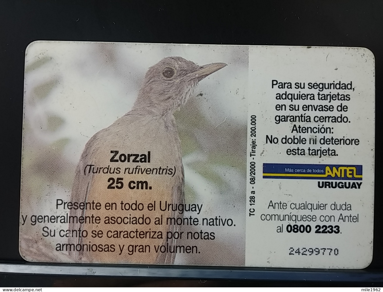 T-316 - URUGUAY TELECARD, PHONECARD, BIRD, OISEAU - Uruguay