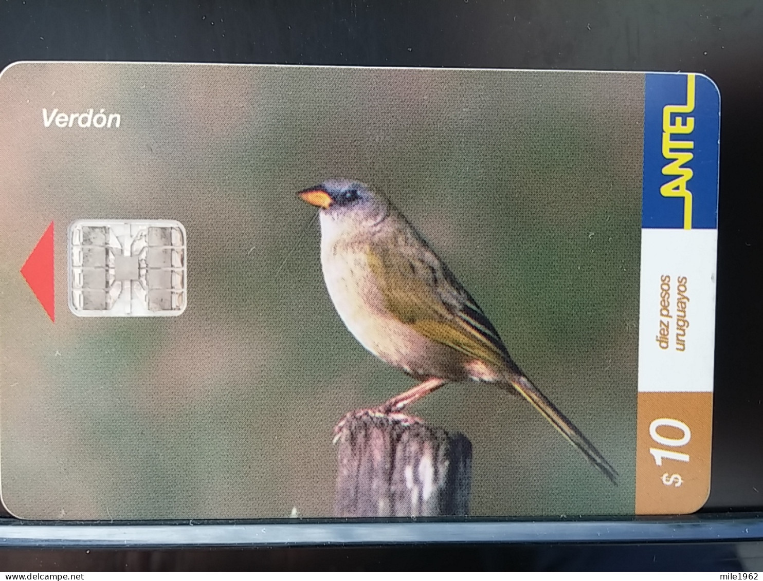 T-316 - URUGUAY TELECARD, PHONECARD, BIRD, OISEAU - Uruguay