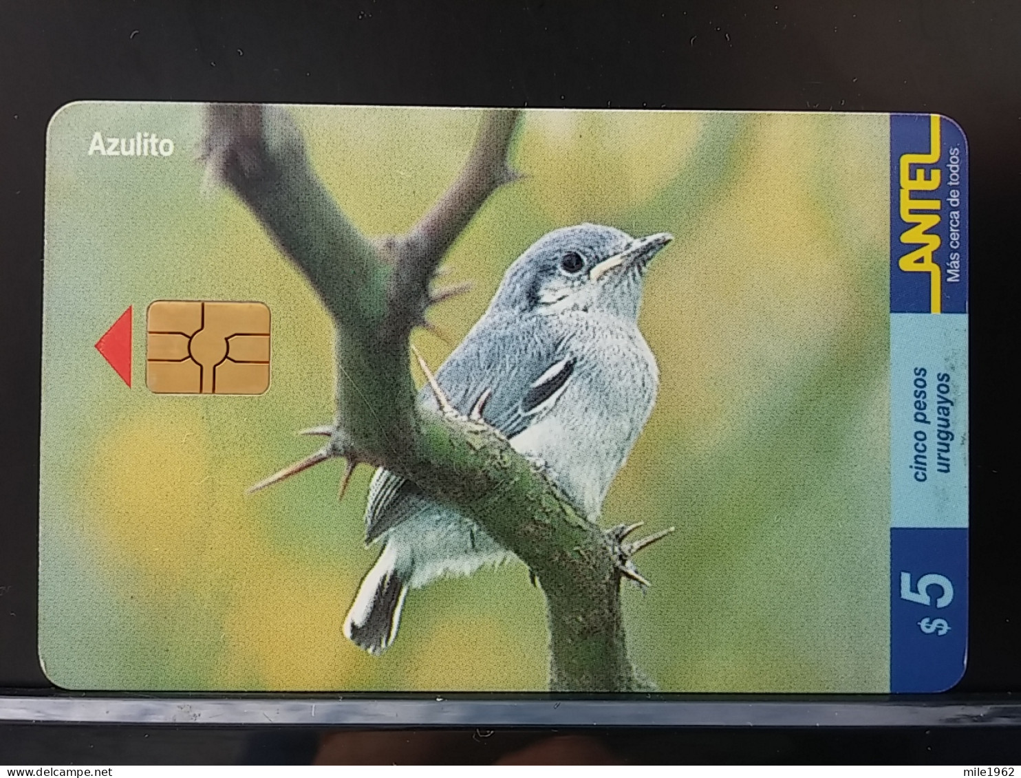 T-316 - URUGUAY TELECARD, PHONECARD, BIRD, OISEAU,  - Uruguay