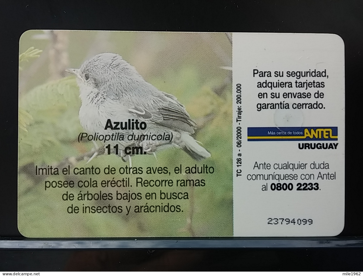 T-316 - URUGUAY TELECARD, PHONECARD, BIRD, OISEAU,  - Uruguay