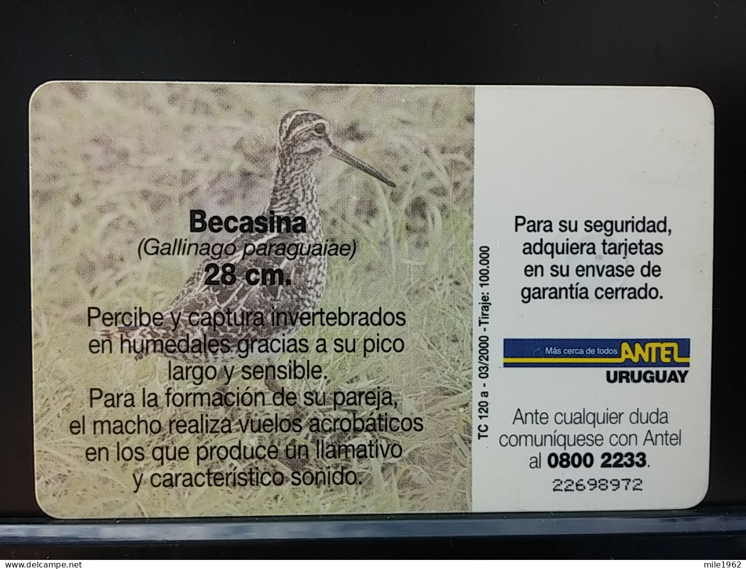 T-316 - URUGUAY TELECARD, PHONECARD, BIRD, OISEAU,  - Uruguay