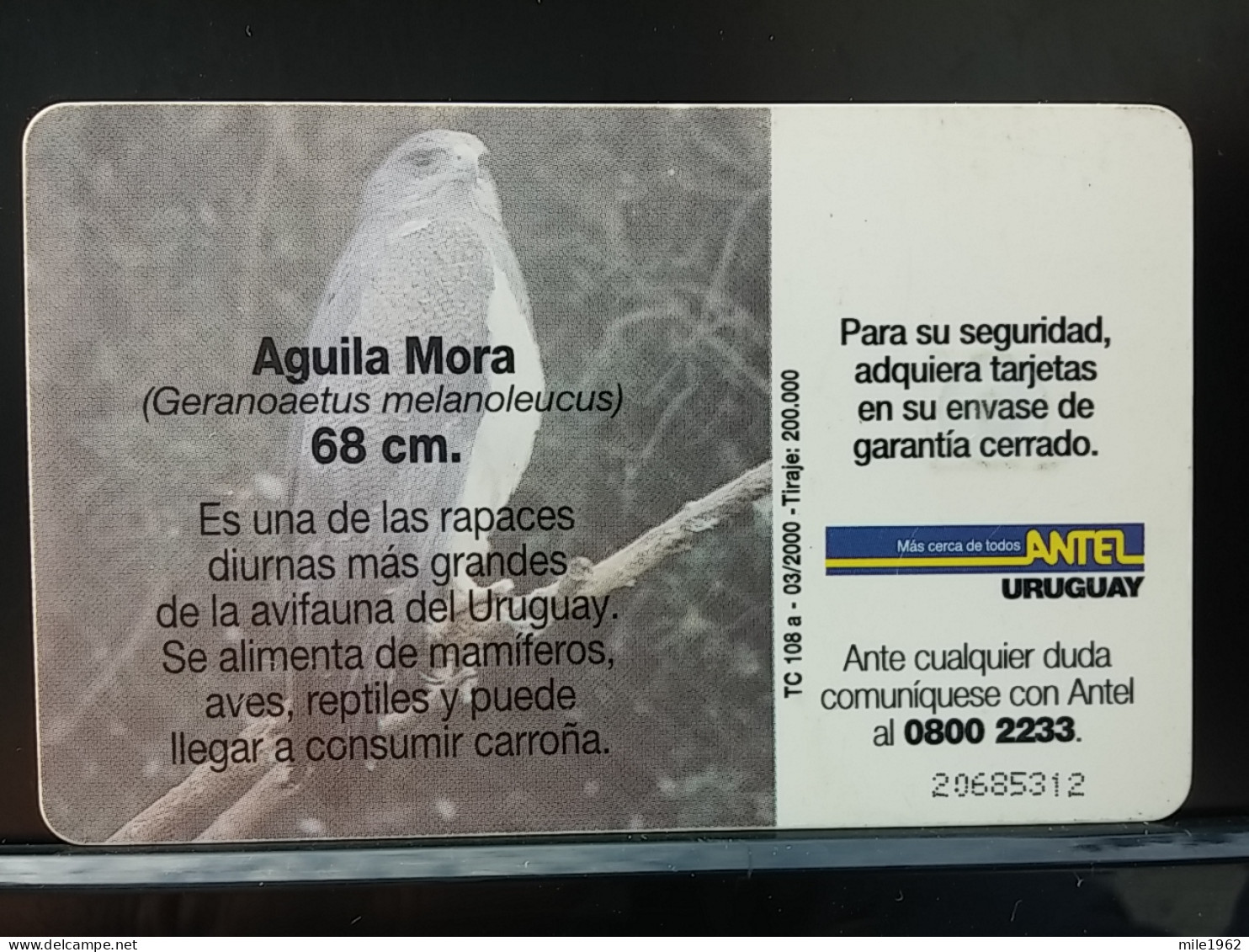 T-316 - URUGUAY TELECARD, PHONECARD, BIRD, OISEAU,  - Uruguay