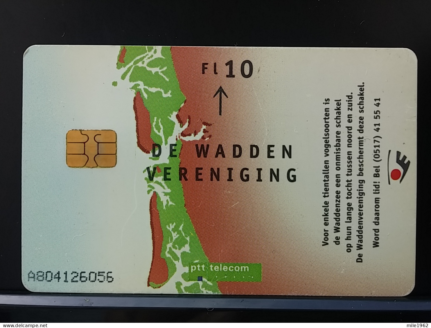 T-317 - NETHERLANDS TELECARD, PHONECARD, BIRD, OISEAU,  - Andere & Zonder Classificatie