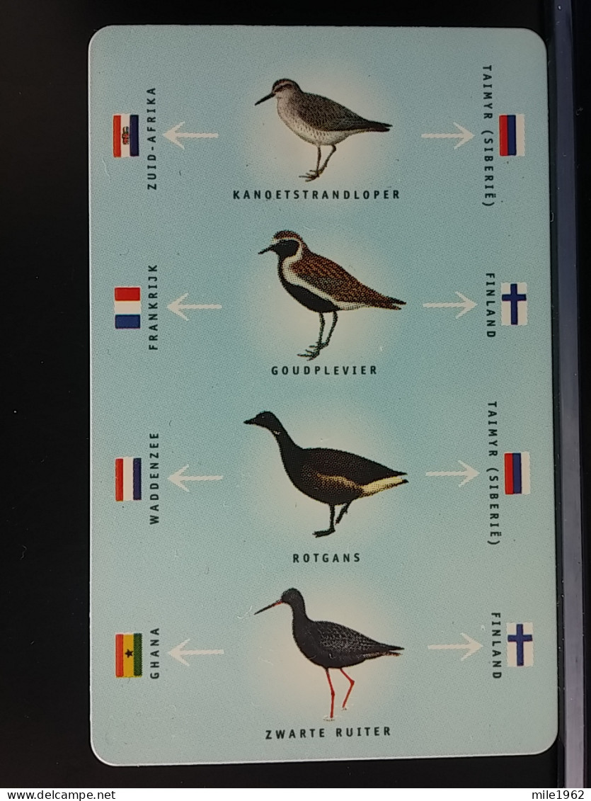 T-317 - NETHERLANDS TELECARD, PHONECARD, BIRD, OISEAU,  - Otros & Sin Clasificación