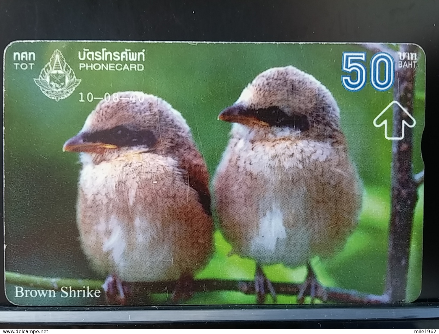 T-317 - THAILAND, TELECARD, PHONECARD, BIRD, OISEAU, BROWN SHRIKE - Thaïlande