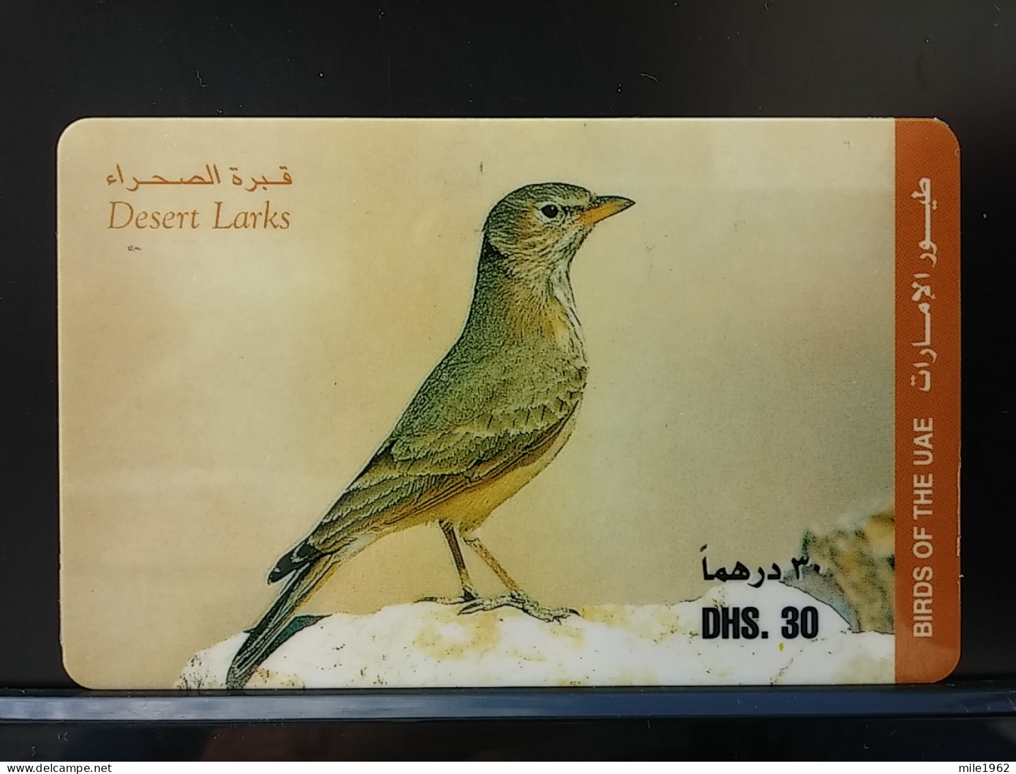 T-318 - UNITED ARAB EMIRATES, TELECARD, PHONECARD, ANIMAL, BIRD, OISEAU,  - Emirats Arabes Unis