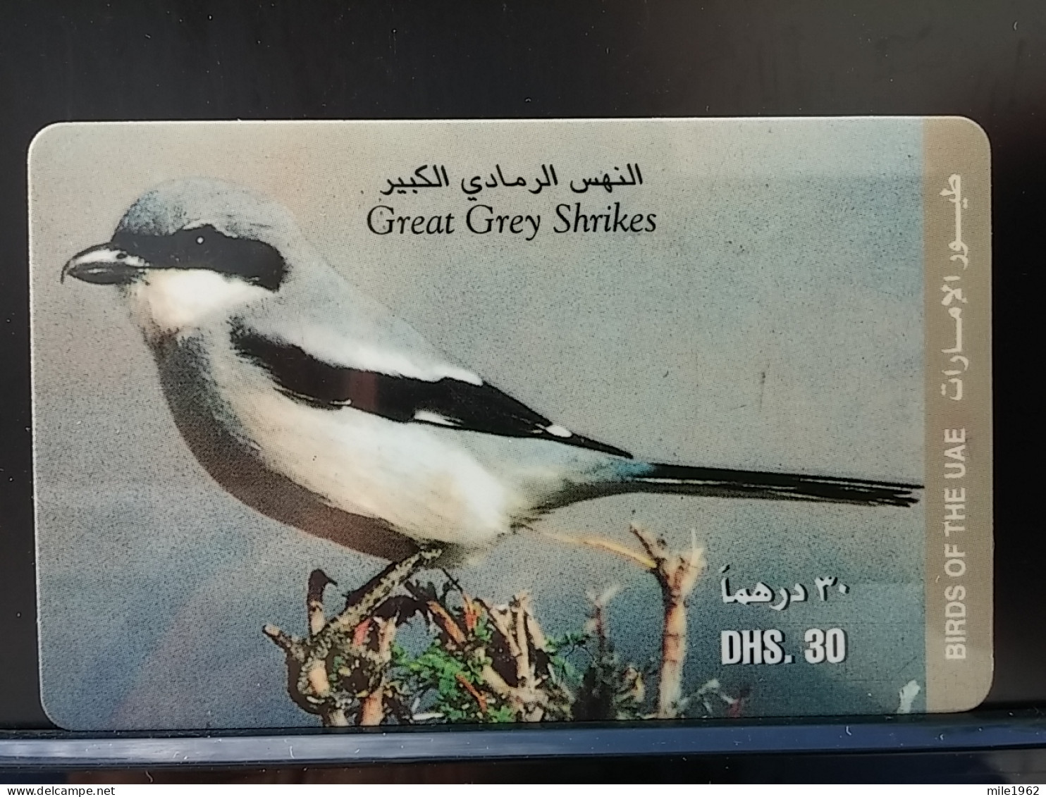 T-318 - UNITED ARAB EMIRATES, TELECARD, PHONECARD, ANIMAL, BIRD, OISEAU,  - United Arab Emirates