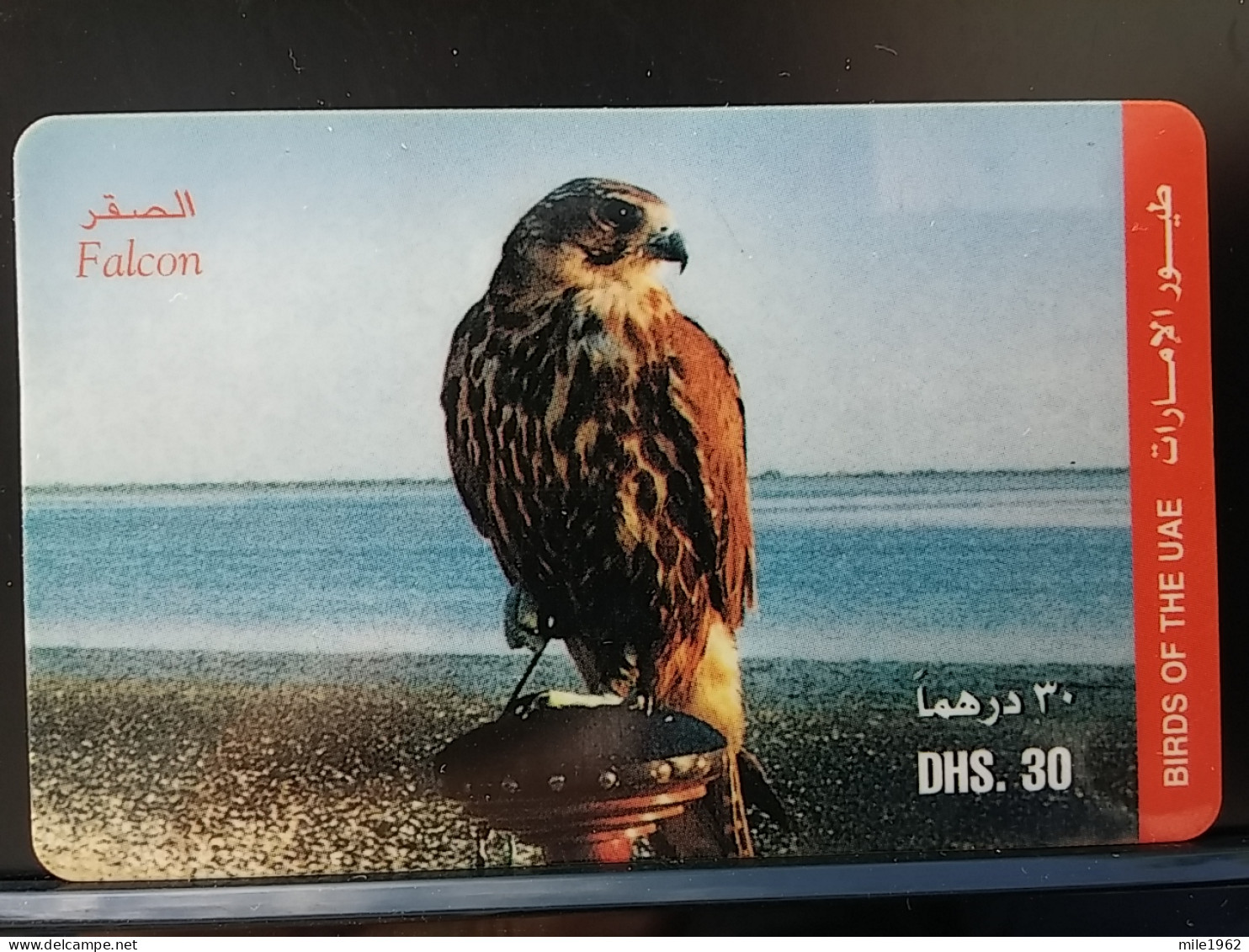 T-318 - UNITED ARAB EMIRATES, TELECARD, PHONECARD, ANIMAL, BIRD, OISEAU, FALCON, HAWK - Ver. Arab. Emirate