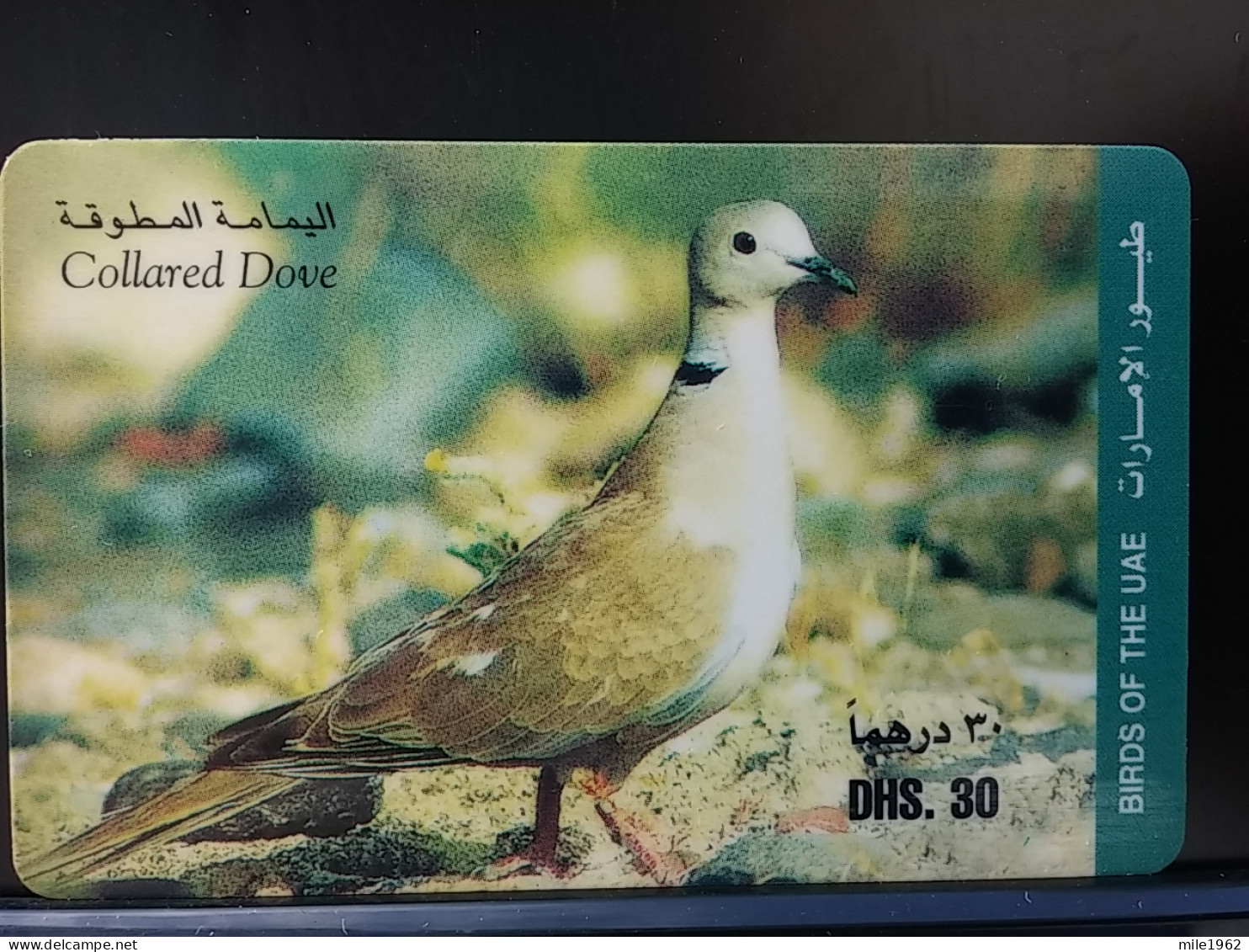 T-318 - UNITED ARAB EMIRATES, TELECARD, PHONECARD, ANIMAL, BIRD, OISEAU, PIGEON - United Arab Emirates