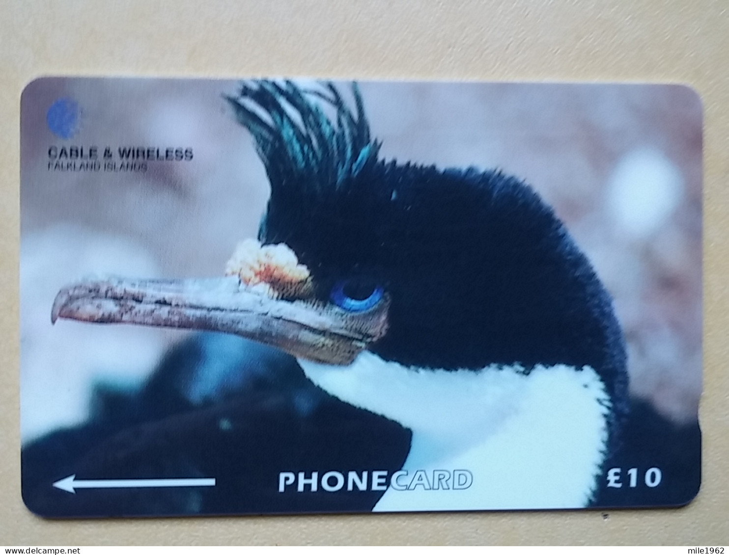 T-319 - FALKLAND ISLANDS, PHONECARD, ANIMAL, BIRD, OISEAU,  - Falklandeilanden