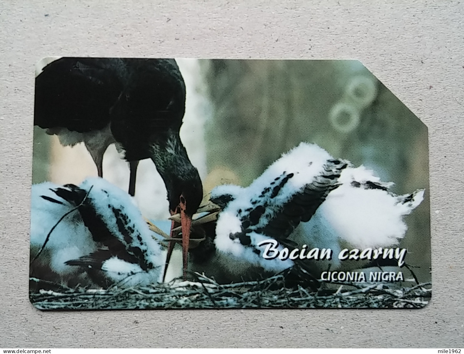 T-327 - POLAND, POLSKA, TELECARD, PHONECARD, BIRD, OISEAU - Poland