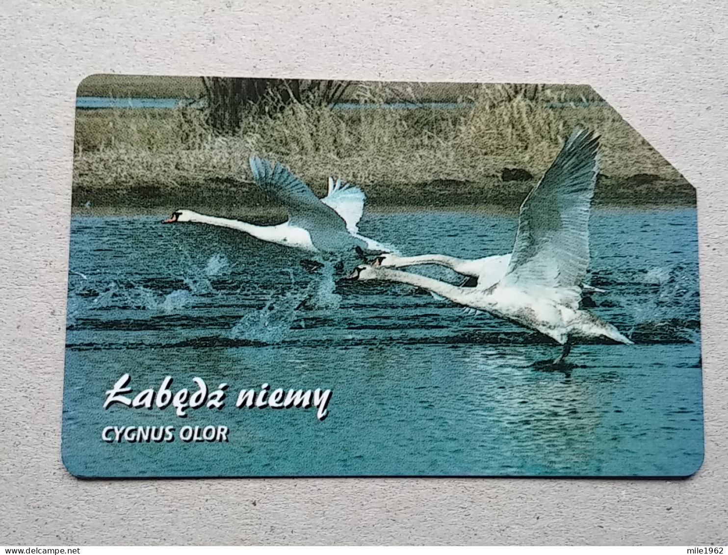 T-327 - POLAND, POLSKA, TELECARD, PHONECARD, BIRD, OISEAU - Pologne