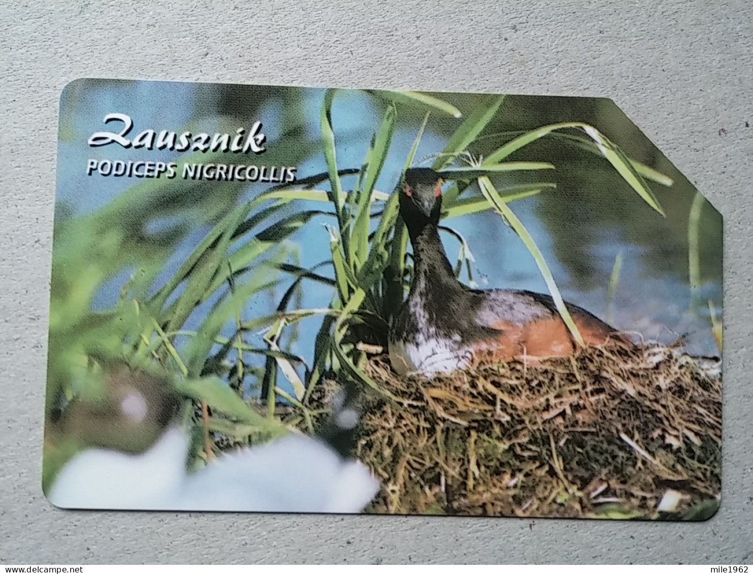 T-327 - POLAND, POLSKA, TELECARD, PHONECARD, BIRD, OISEAU - Poland