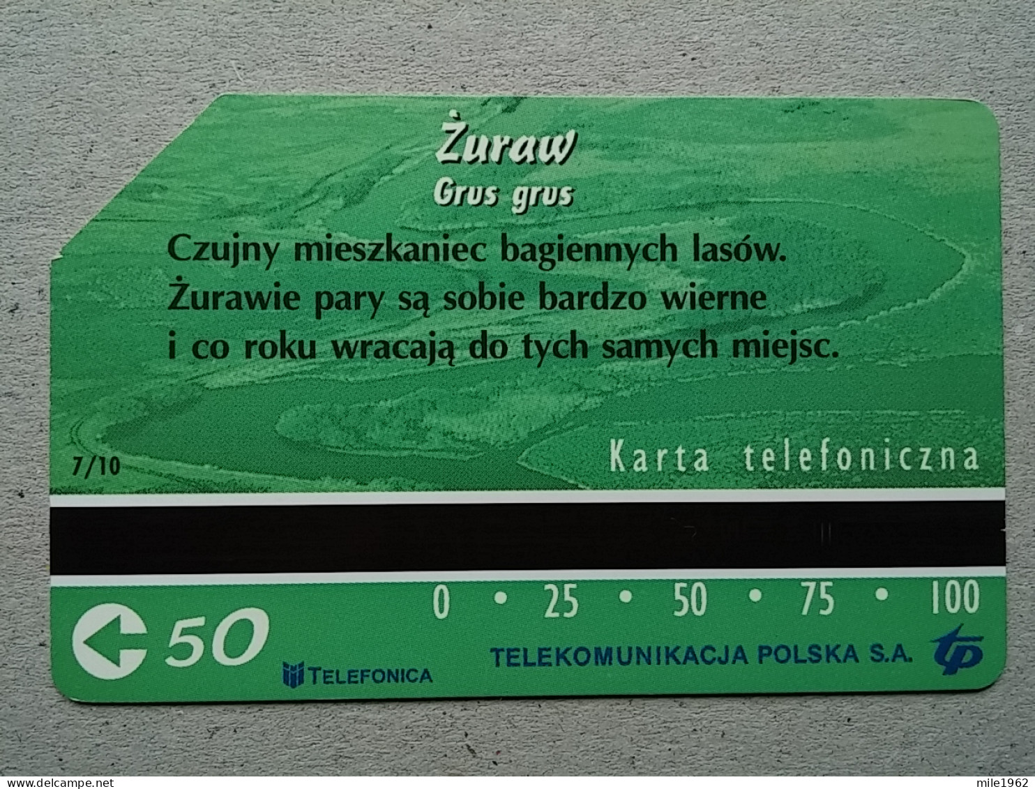 T-327 - POLAND, POLSKA, TELECARD, PHONECARD, BIRD, OISEAU - Poland