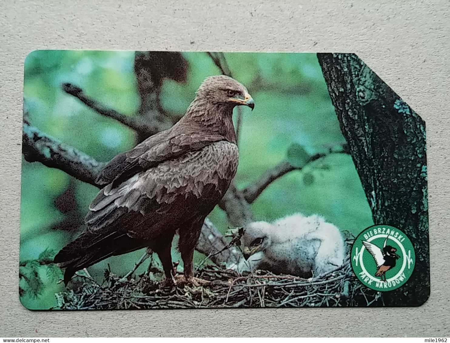 T-327 - POLAND, POLSKA, TELECARD, PHONECARD, BIRD, OISEAU - Polen