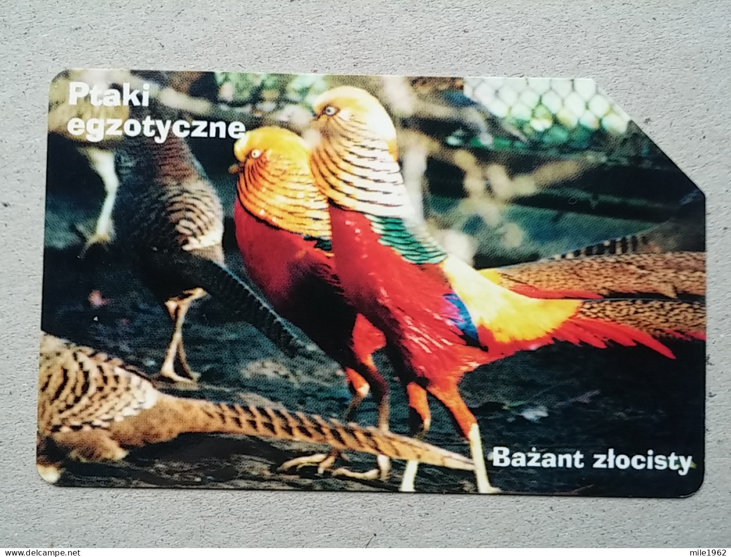 T-327 - POLAND, POLSKA, TELECARD, PHONECARD, BIRD, OISEAU - Poland