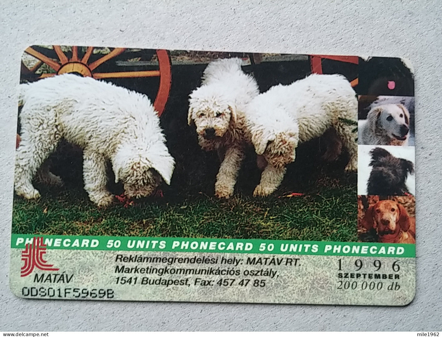 T-328 - HUNGARY, TELECARD, PHONECARD, Dog, Chien - Hongrie