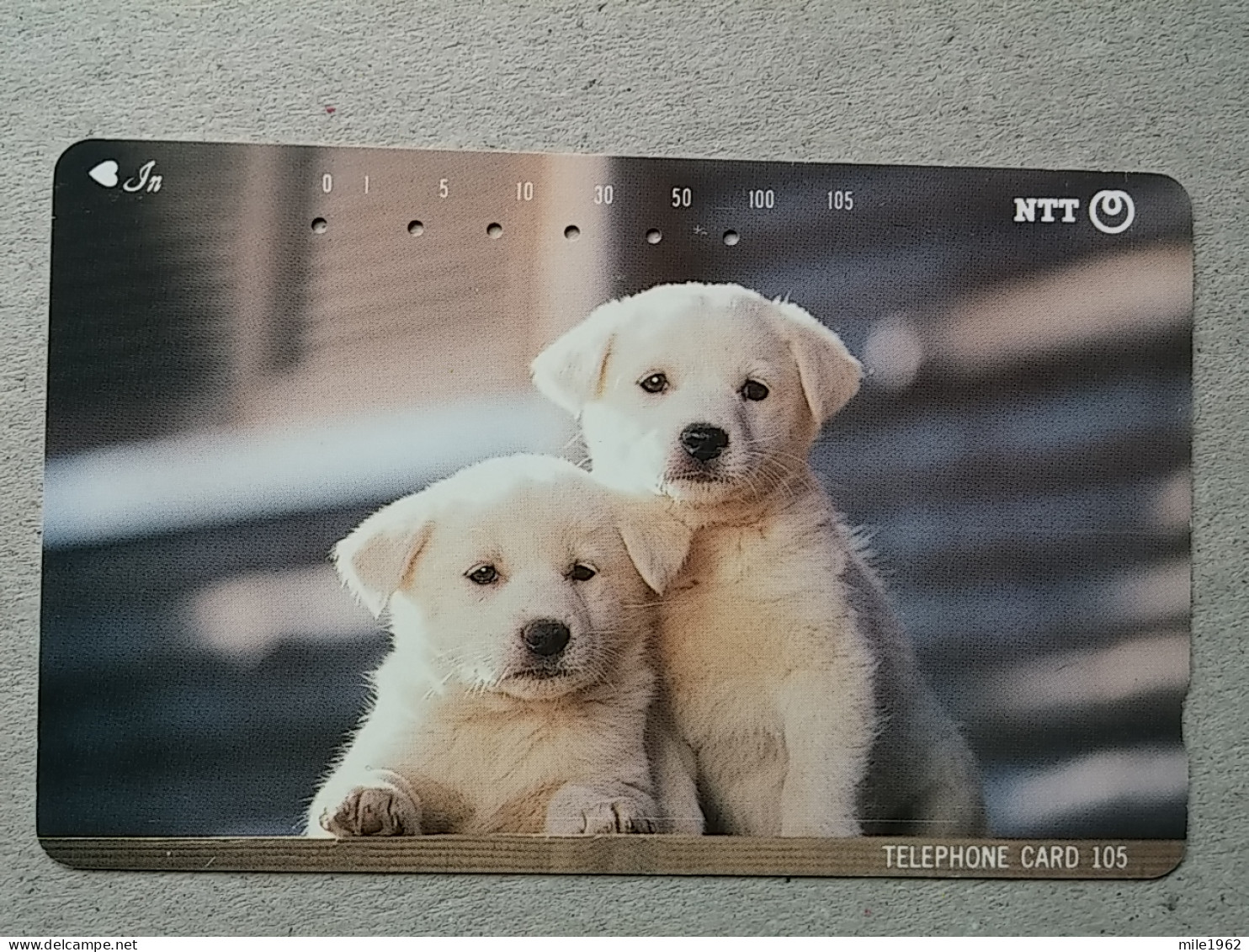 T-328 - JAPAN, TELECARD, PHONECARD, Dog, Chien, NTT 111-033 - Chiens