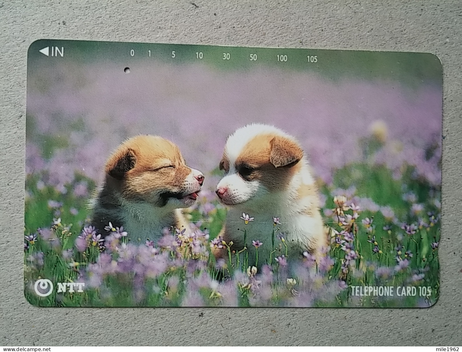 T-328 - JAPAN, TELECARD, PHONECARD, Dog, Chien, NTT 111-059 - Chiens