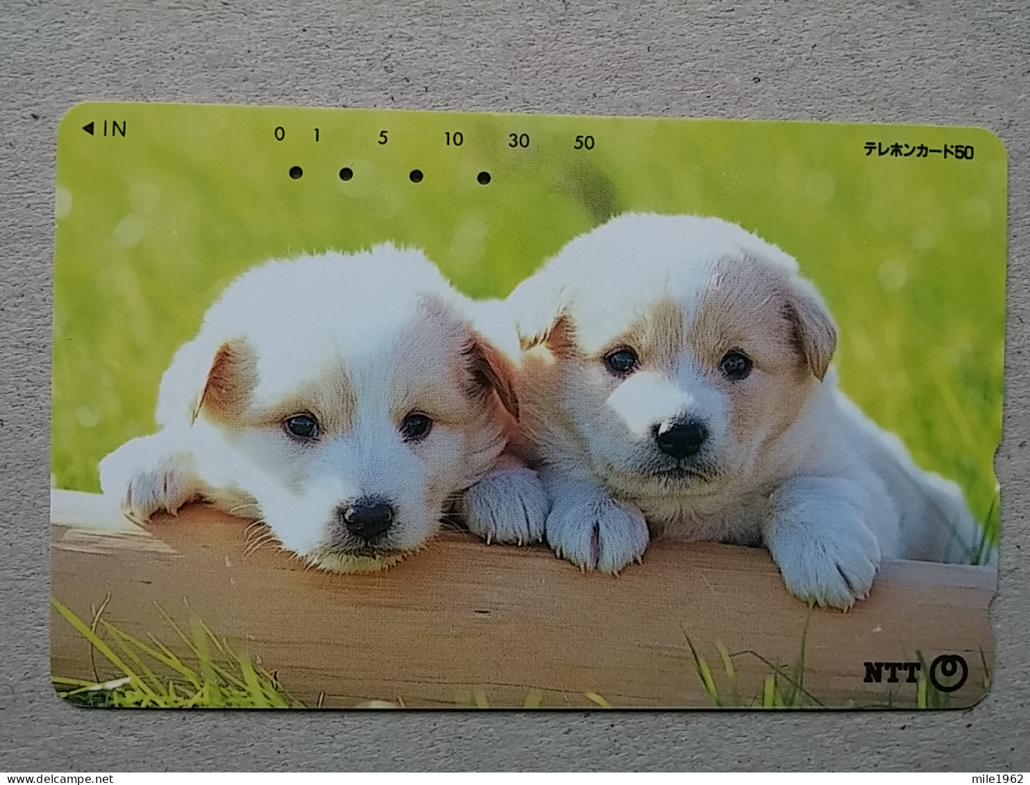 T-328 - JAPAN, TELECARD, PHONECARD, Dog, Chien, NTT 231-184 - Dogs