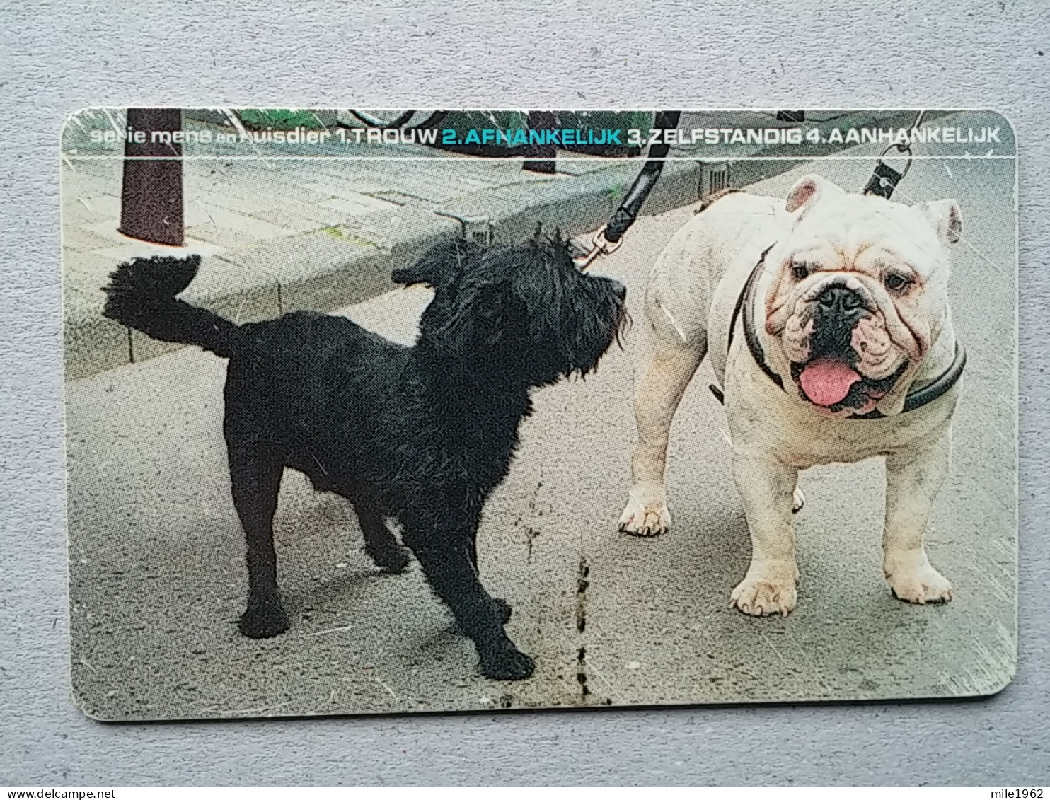 T-328 - NORWAY, TELECARD, PHONECARD, Dog, Chien - Norvège