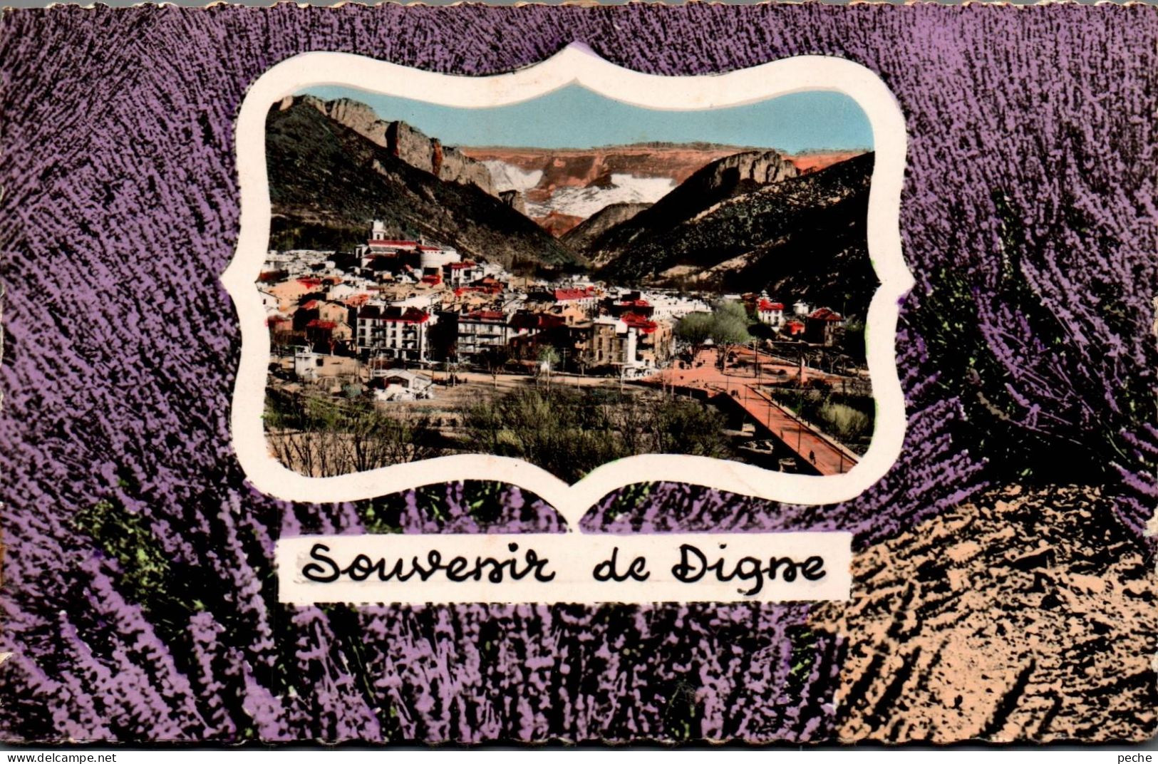 N°120865 -cpsm Souvenir De Digne - Saluti Da.../ Gruss Aus...