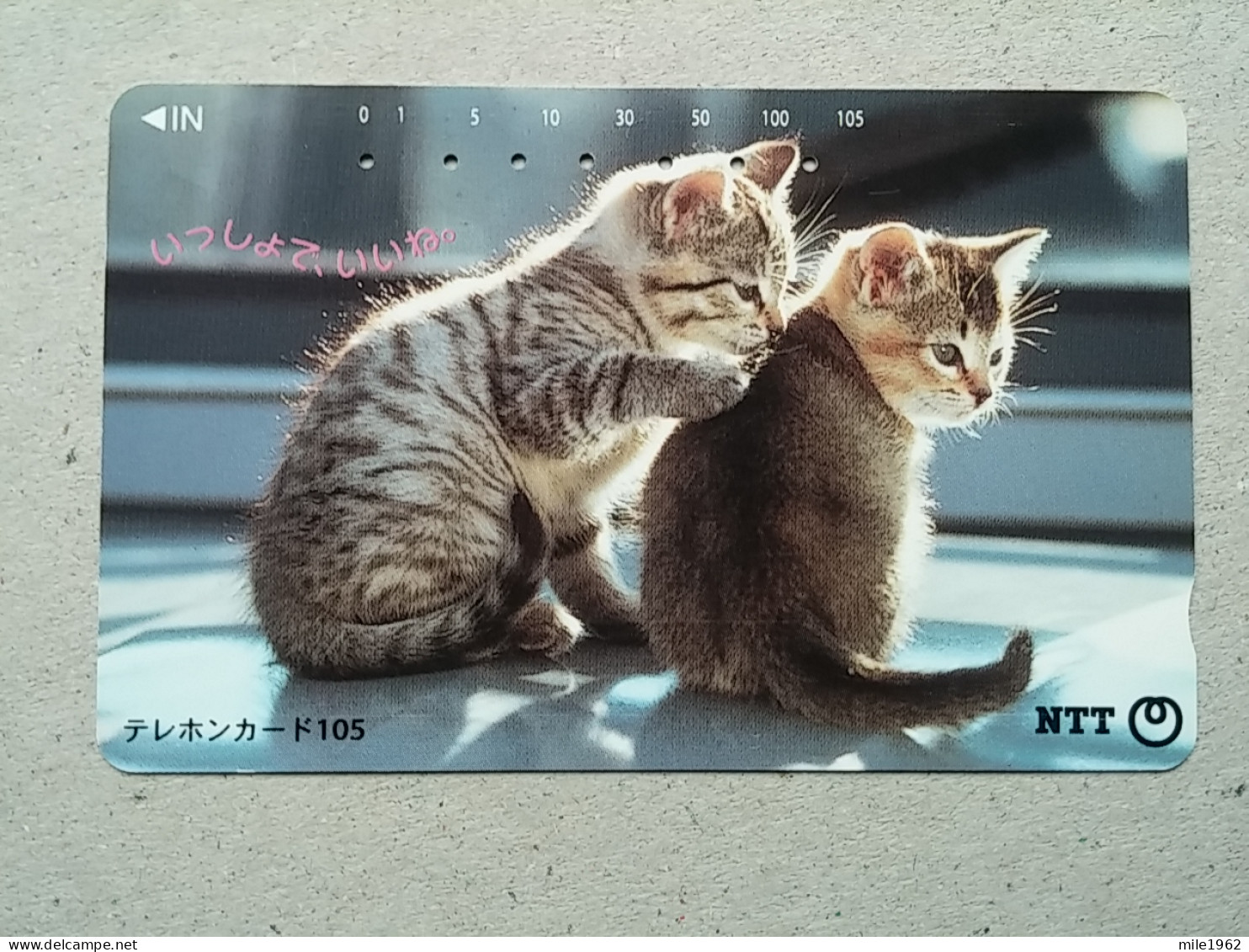 T-331 - JAPAN, TELECARD, PHONECARD, CAT, CHAT, NTT 111-012 - Katzen