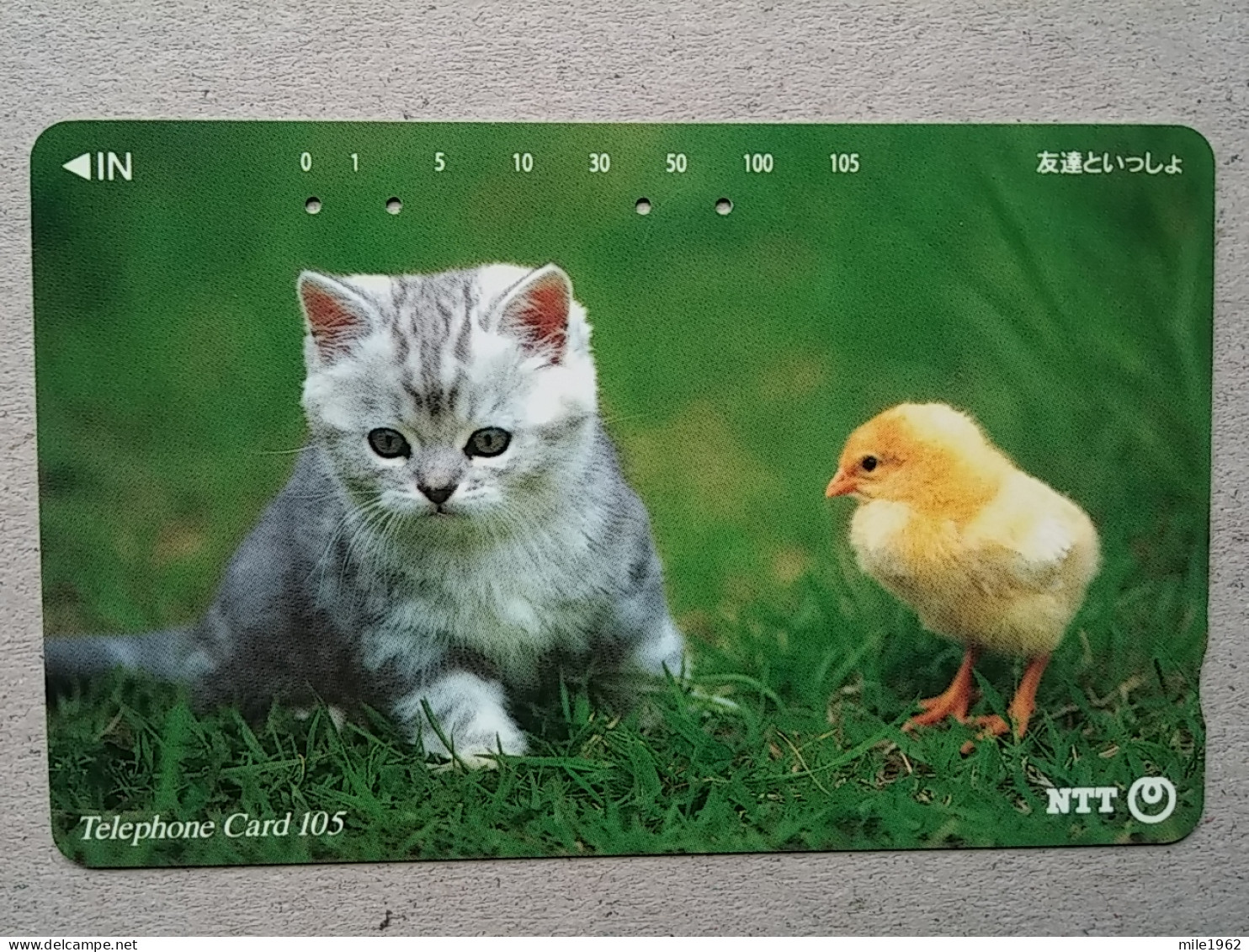 T-331 - JAPAN, TELECARD, PHONECARD, CAT, CHAT, NTT 111-062 - Cats