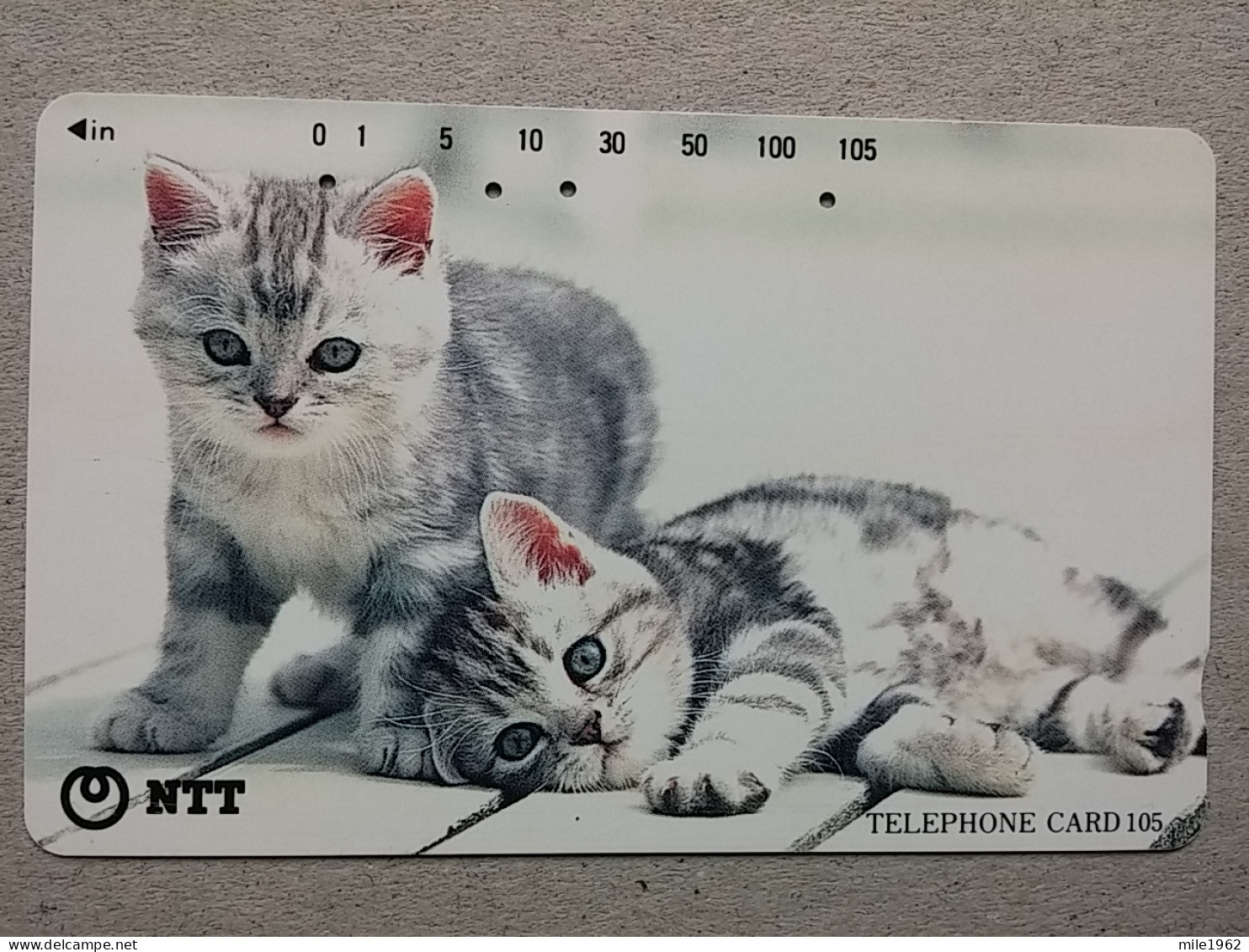 T-331 - JAPAN, TELECARD, PHONECARD, CAT, CHAT, NTT 111-078 - Gatti