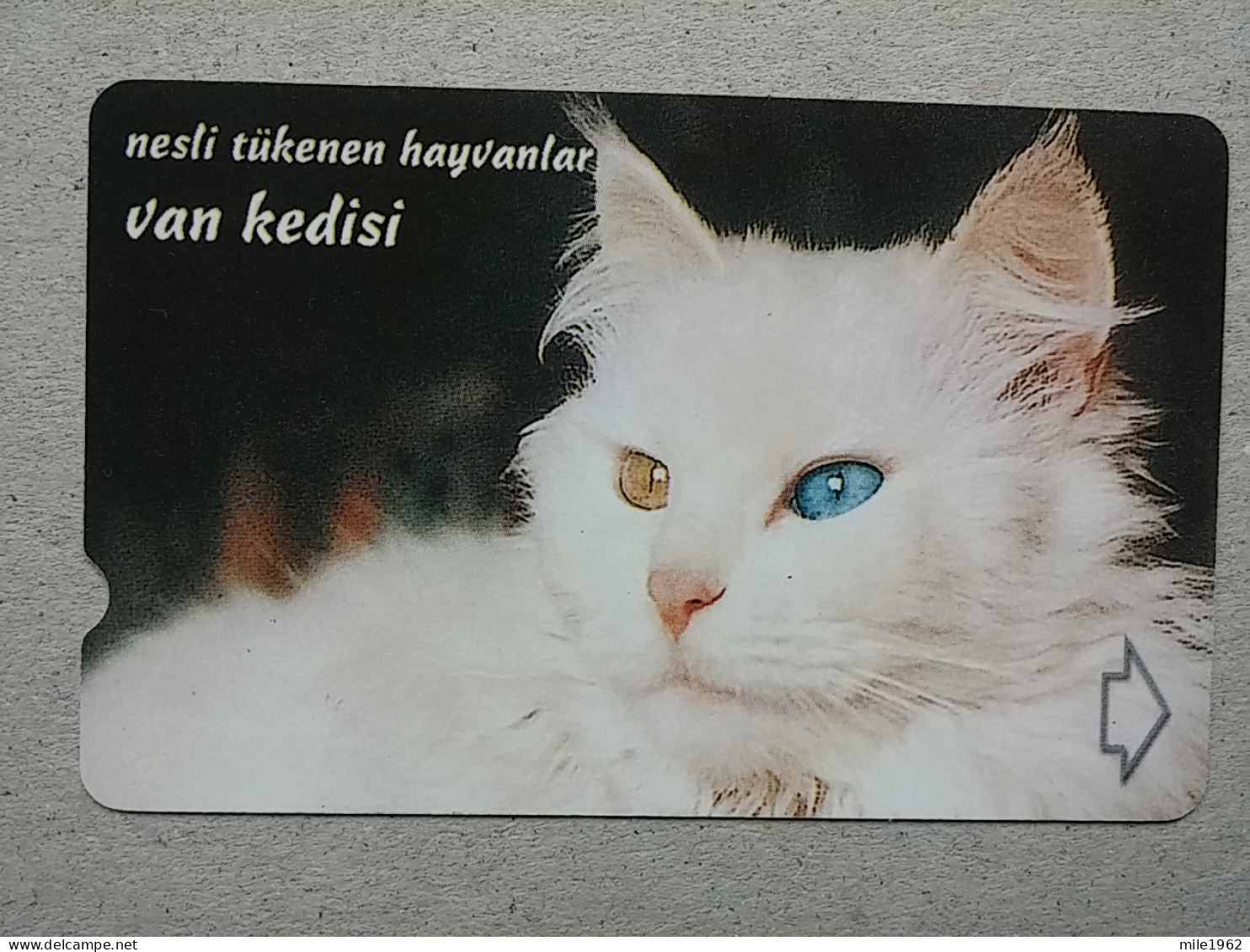 T-331 - TURKEY, TELECARD, PHONECARD, CAT, CHAT, - Cats