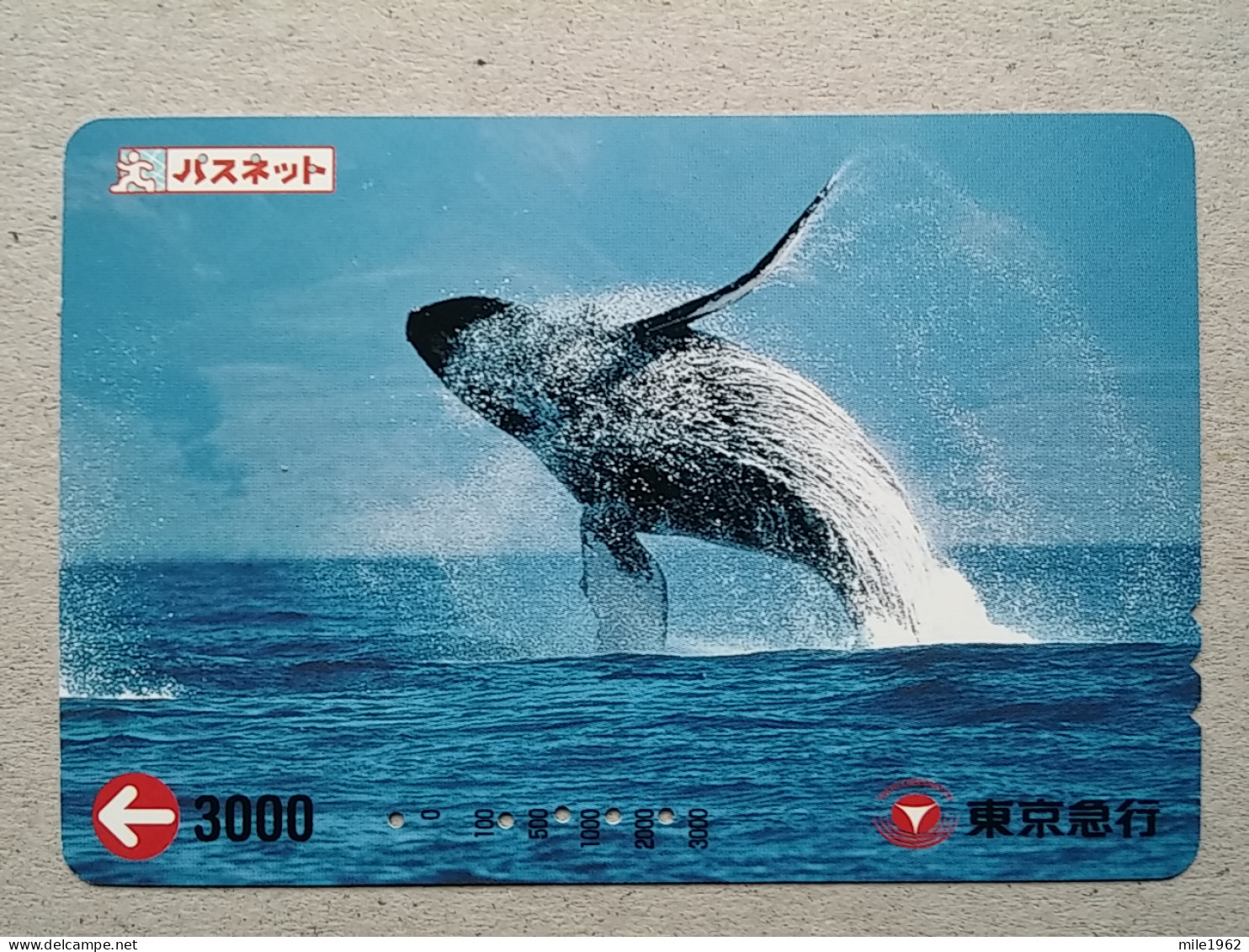 T-332 - JAPAN, PREPAID CARD, Carte Prépayée, FISH, POISON - Other & Unclassified