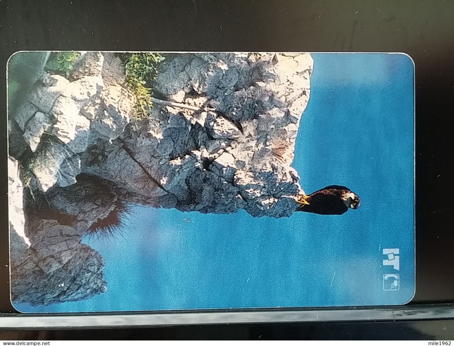 T-333 - CROATIA, TELECARD, PHONECARD, BIRD, OISEAU - Croacia