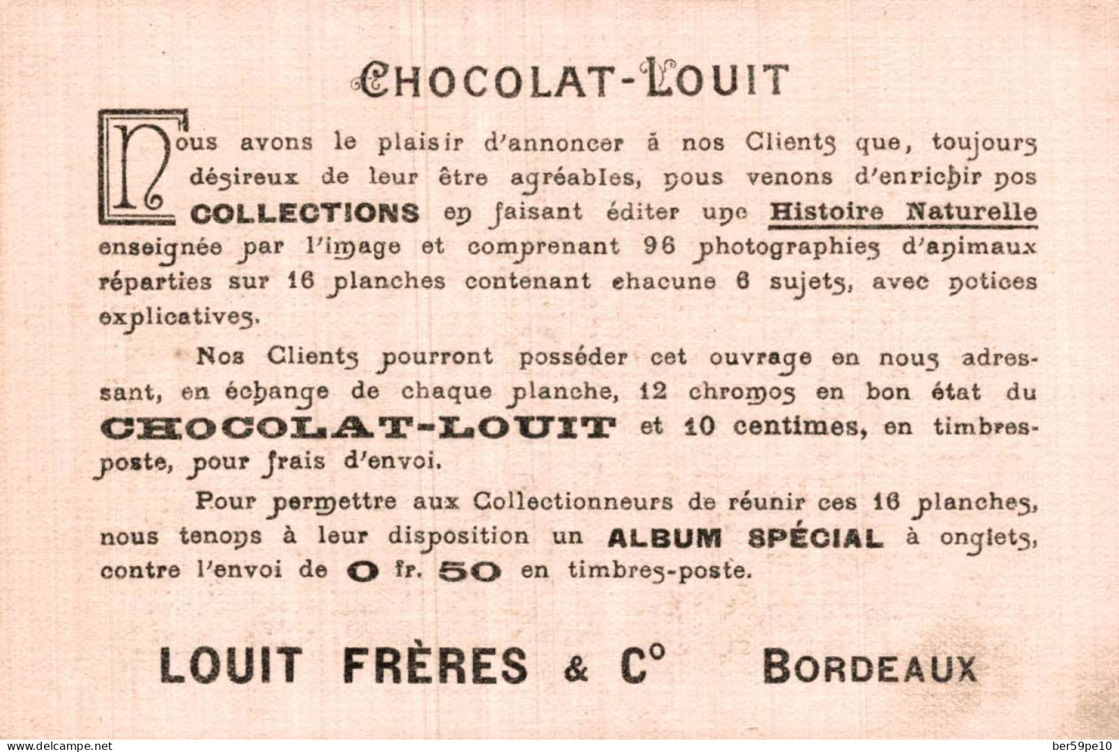 CHROMO CHOCOLAT LOUIT EN PLEINE CHASSE - Louit