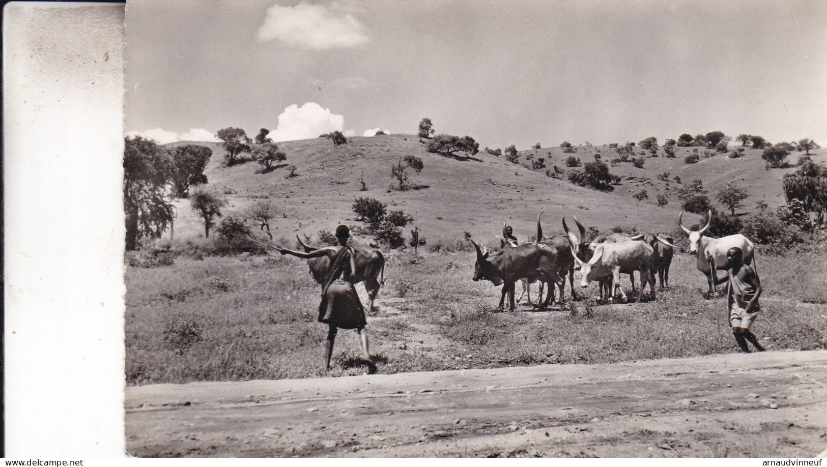 RUANDA URUNDI PAYSAGE CHAMPETRE - Ruanda Urundi