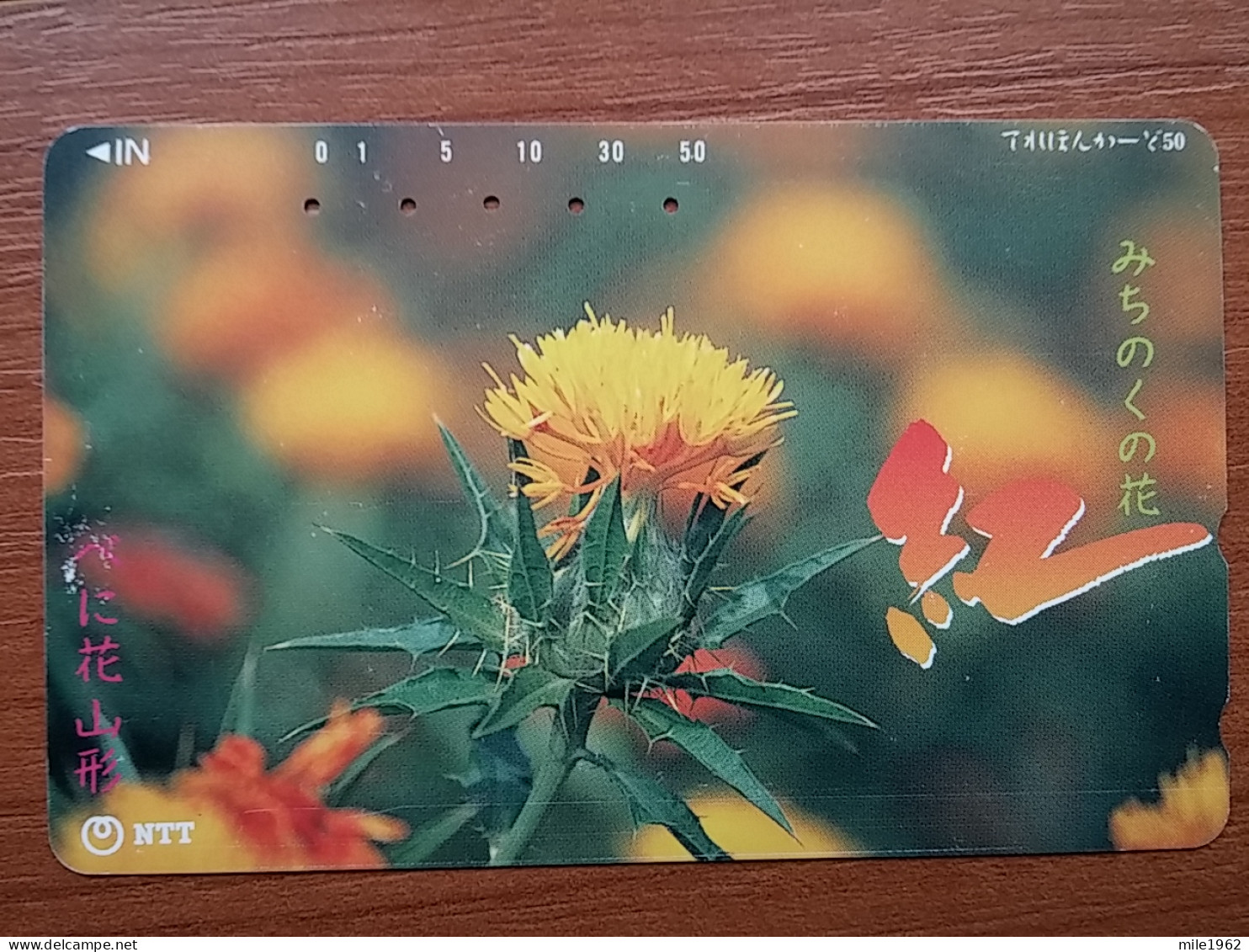 T-358 - JAPAN, Japon, Nipon, TELECARD, PHONECARD,  FLOWER, FLEUR, NTT 411-178 - Fleurs