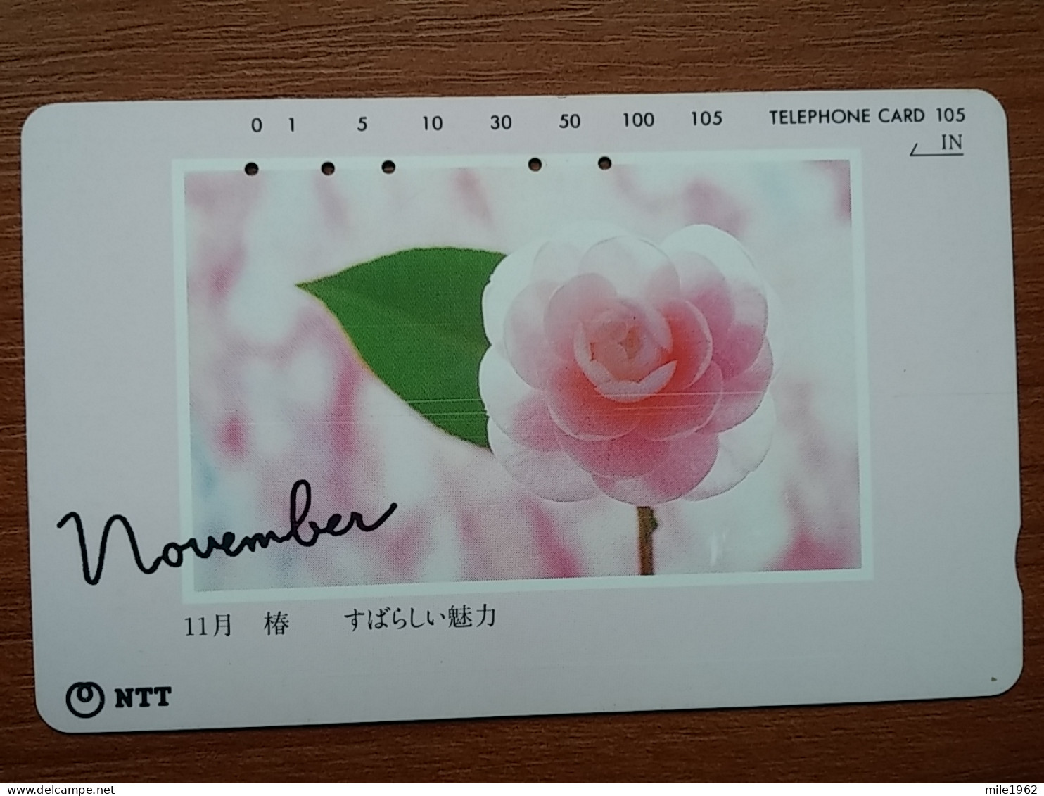 T-359 - JAPAN, Japon, Nipon, TELECARD, PHONECARD,  FLOWER, FLEUR, NTT 271-049 - Fleurs