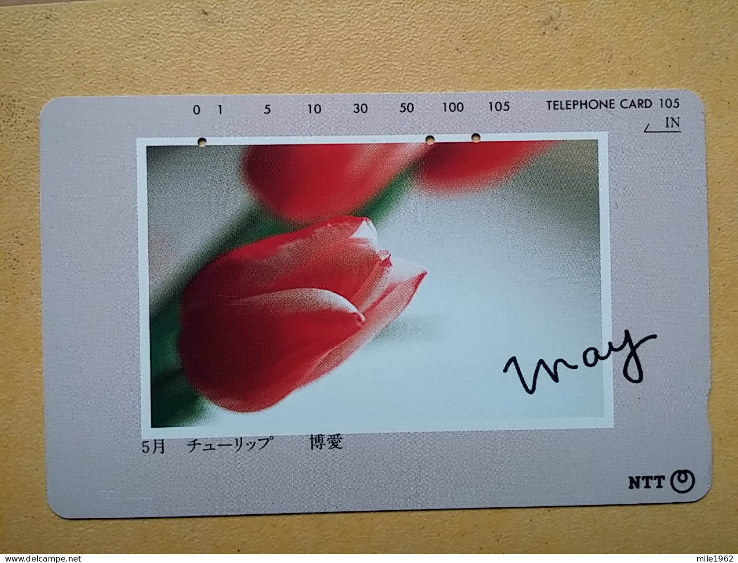 T-359 - JAPAN, Japon, Nipon, TELECARD, PHONECARD,  FLOWER, FLEUR, NTT 271-057 - Fleurs