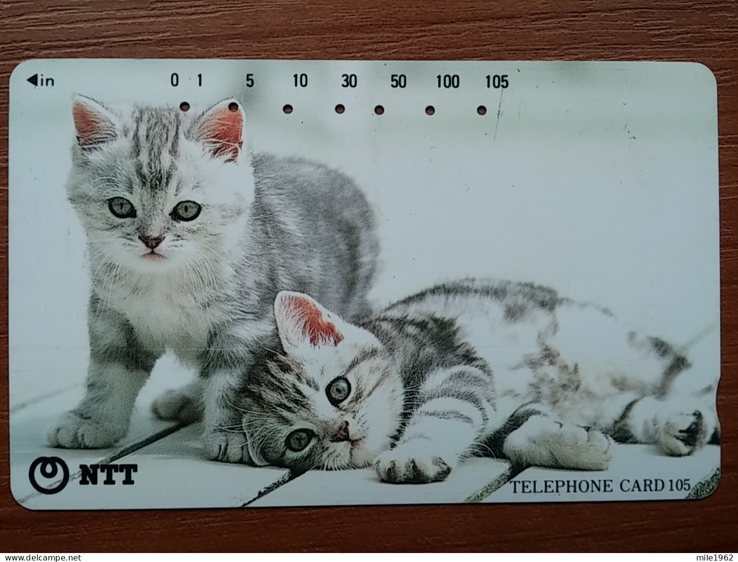 T-361 - JAPAN, Japon, Nipon, TELECARD, PHONECARD, NTT 111-078, Cat, Chat - Katzen