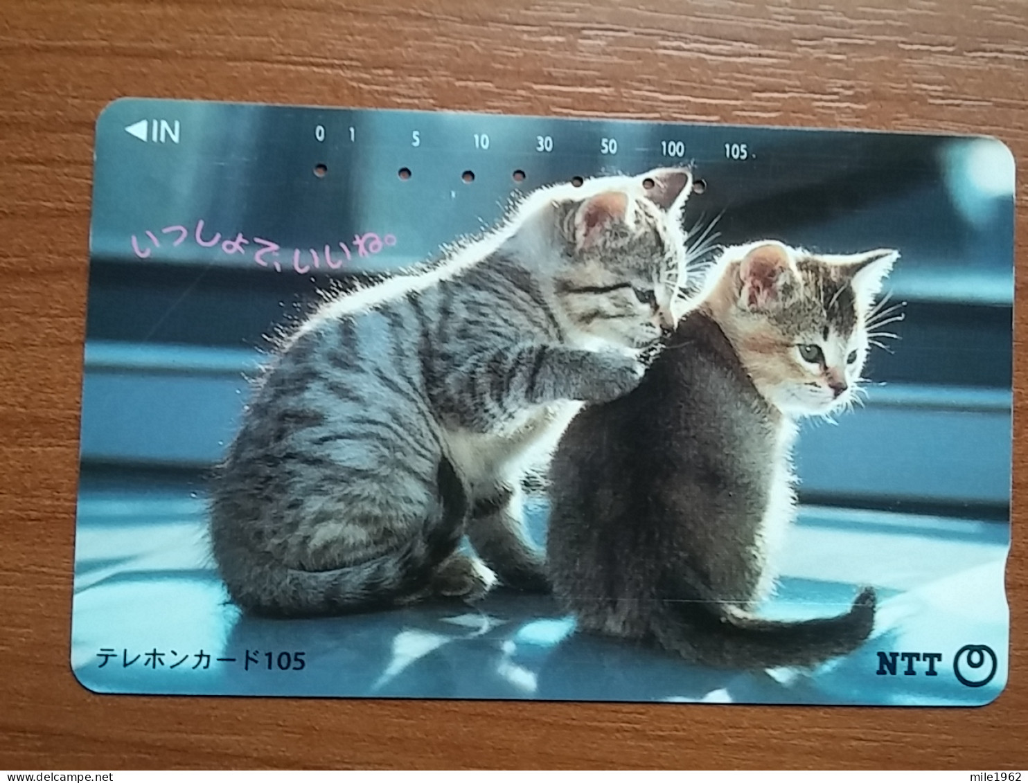 T-361 - JAPAN, Japon, Nipon, TELECARD, PHONECARD, Cat, Chat, NTT 111-012 - Chats