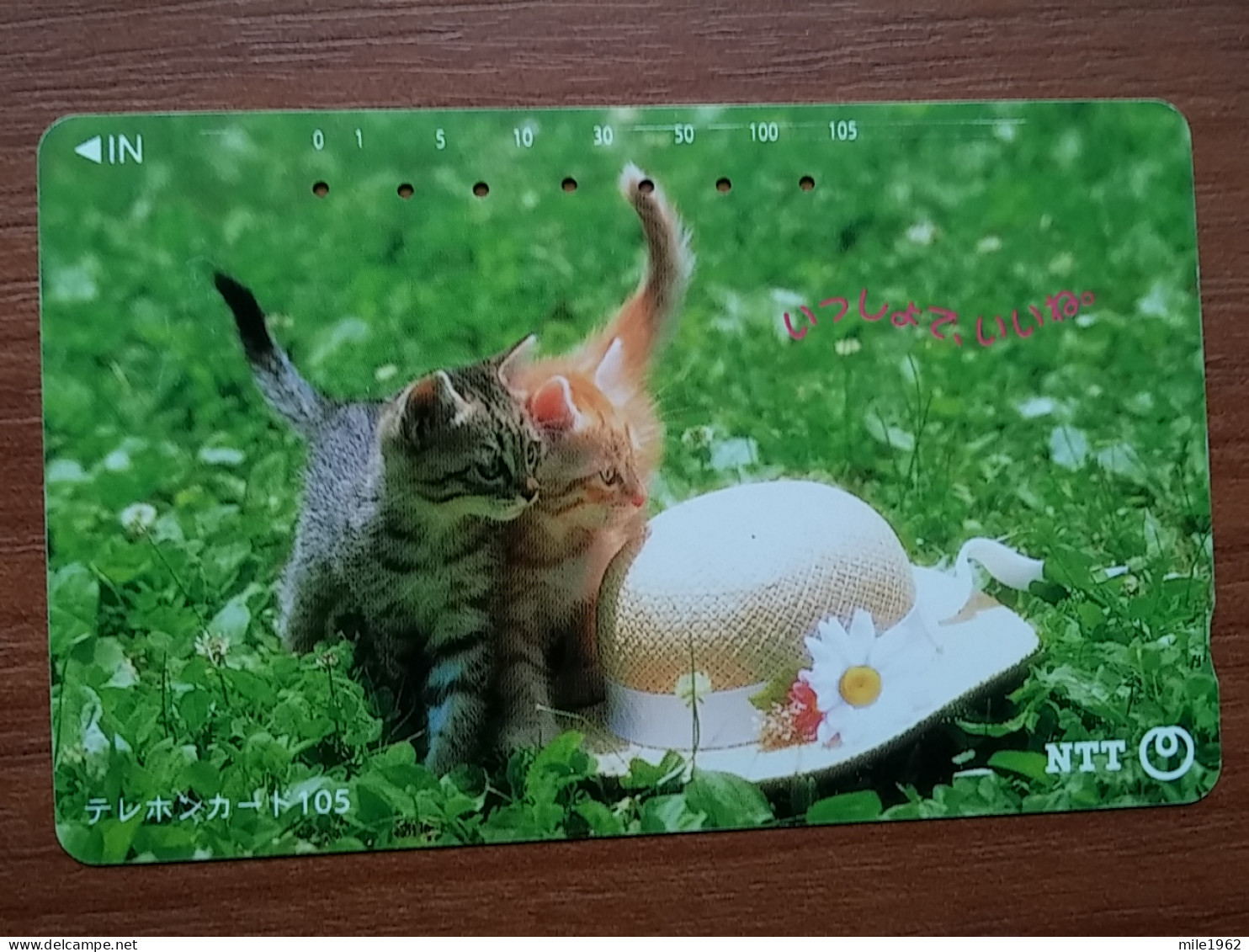 T-361 - JAPAN, Japon, Nipon, TELECARD, PHONECARD, Cat, Chat, NTT 111-020 - Chats