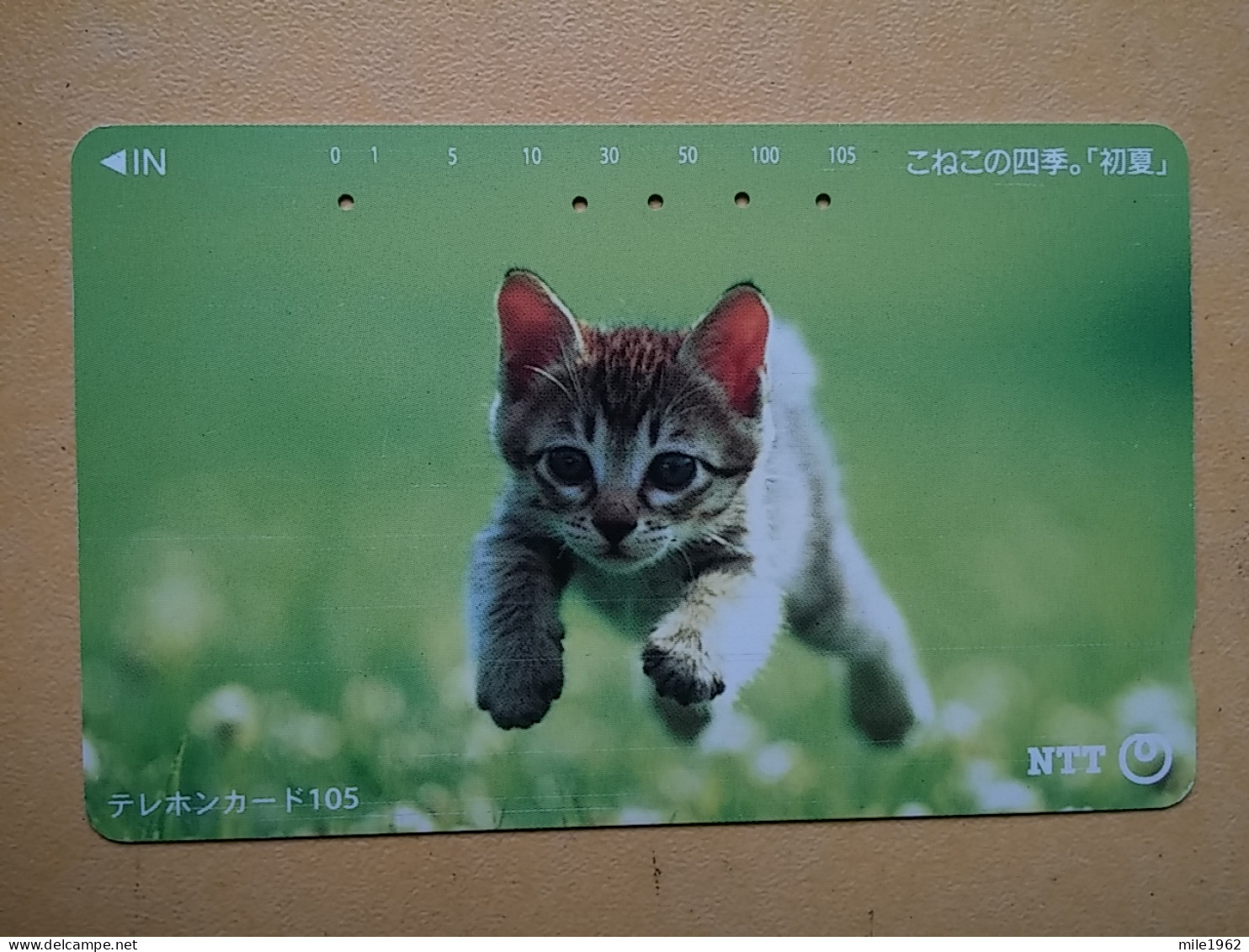 T-361 - JAPAN, Japon, Nipon, TELECARD, PHONECARD, Cat, Chat, NTT 111-021 - Cats