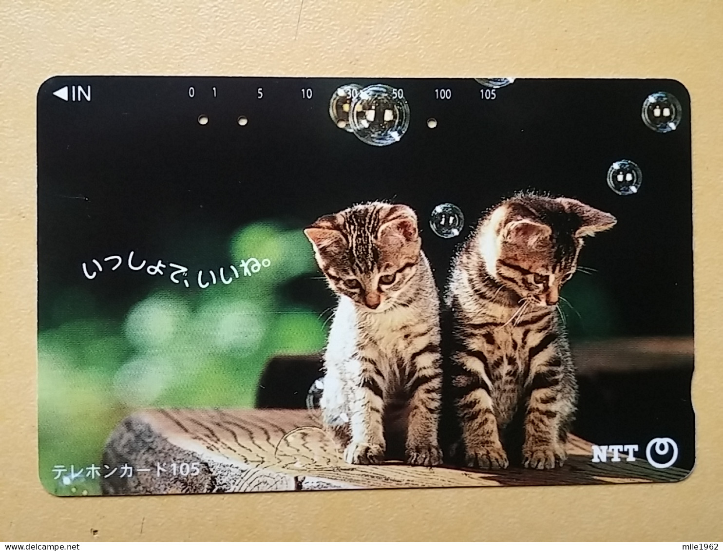 T-361 - JAPAN, Japon, Nipon, TELECARD, PHONECARD, Cat, Chat, NTT 111-036 - Chats